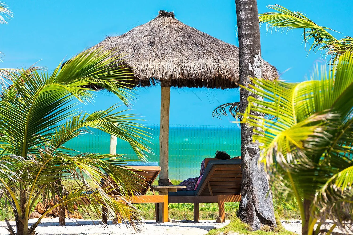 Garden view in B Blue Beachouses