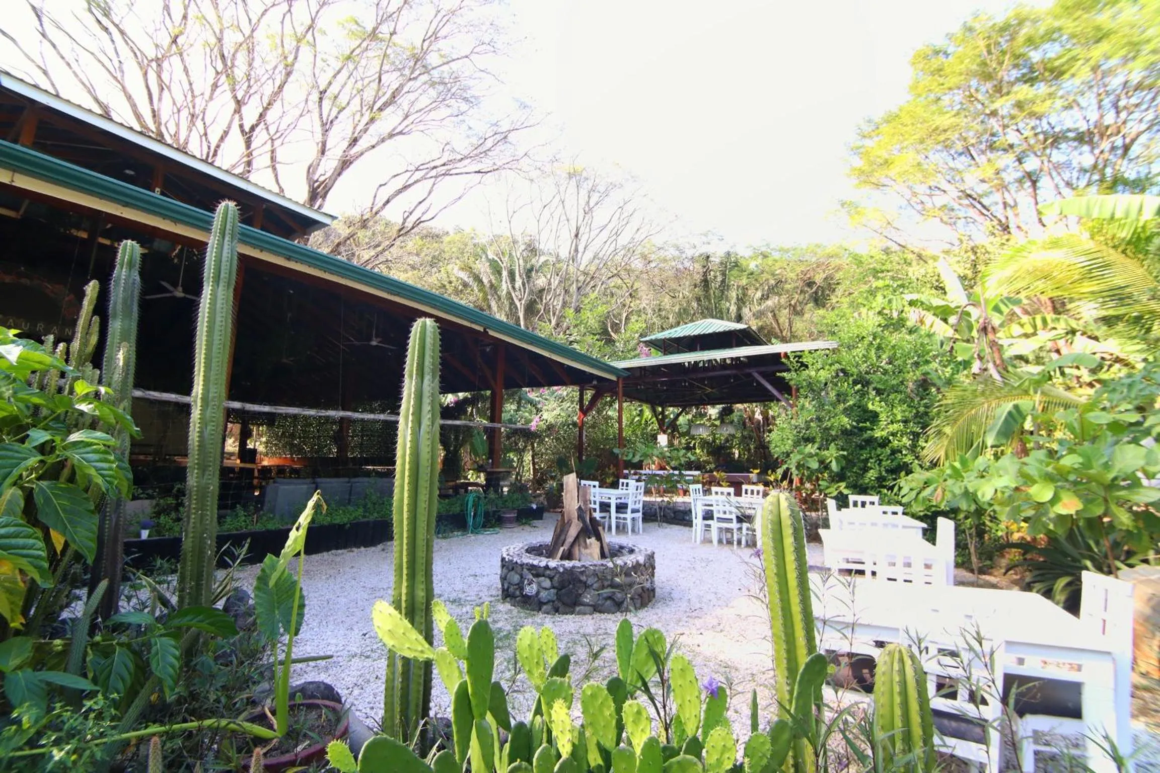 Restaurant/places to eat in Jungles Edge Hotel, Jiu Jitsu, Muay Thai Retreat Center