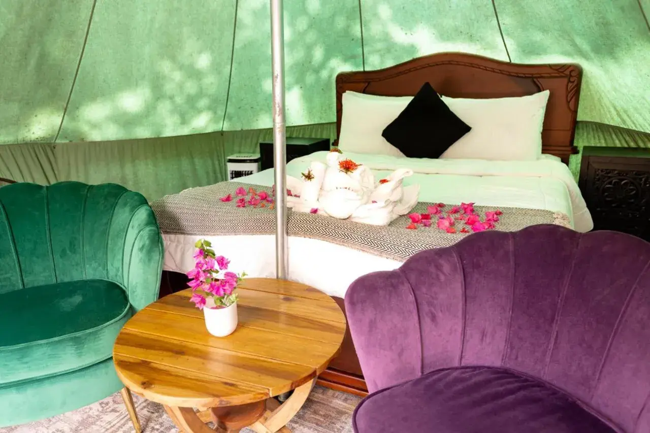 Glamping Tent in Jungles Edge Hotel, Jiu Jitsu, Muay Thai Retreat Center Glamping Tent in Jungles Edge Hotel, Jiu Jitsu, Muay Thai Retreat Center