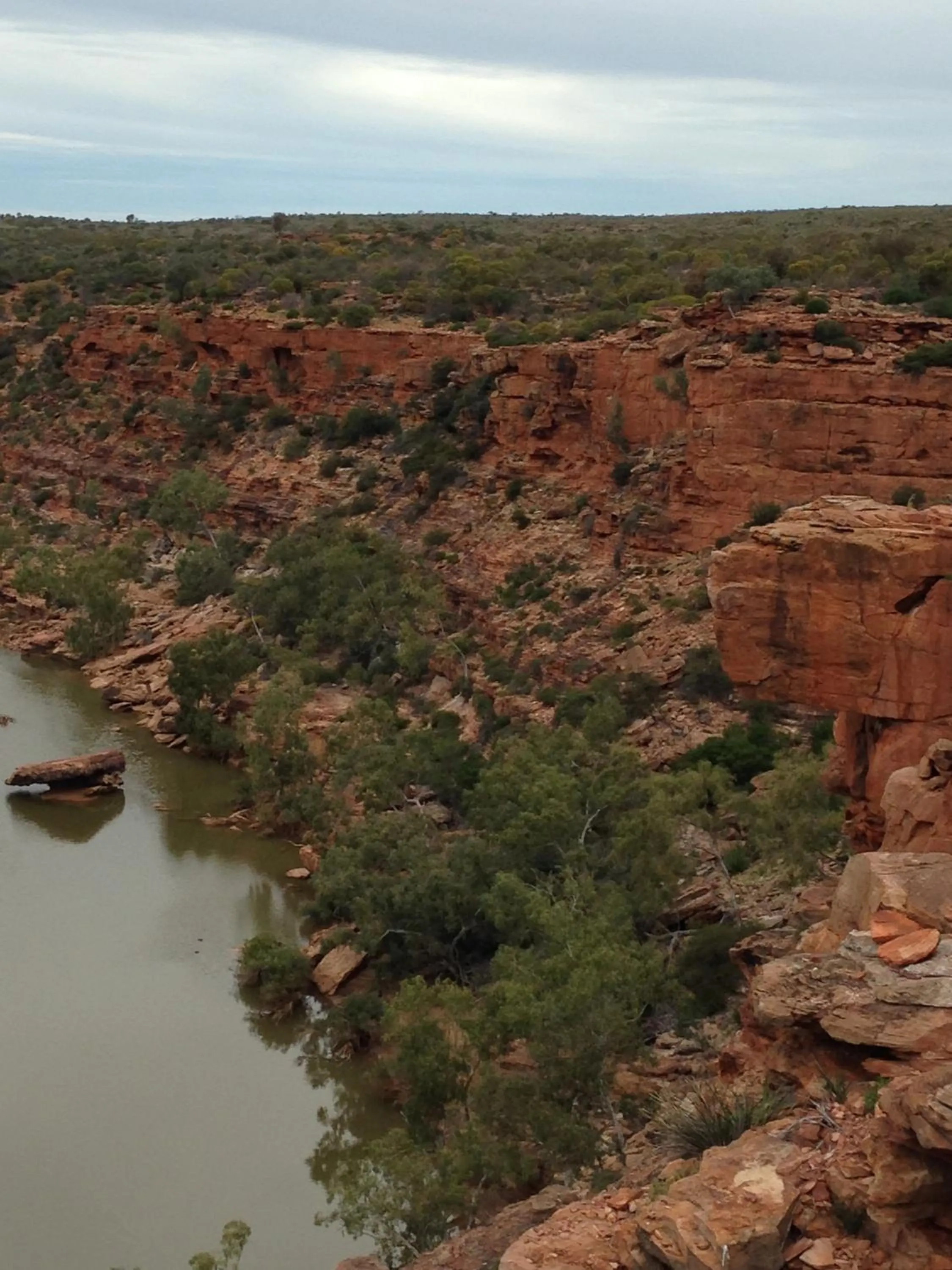 Natural landscape in Pelican's Nest