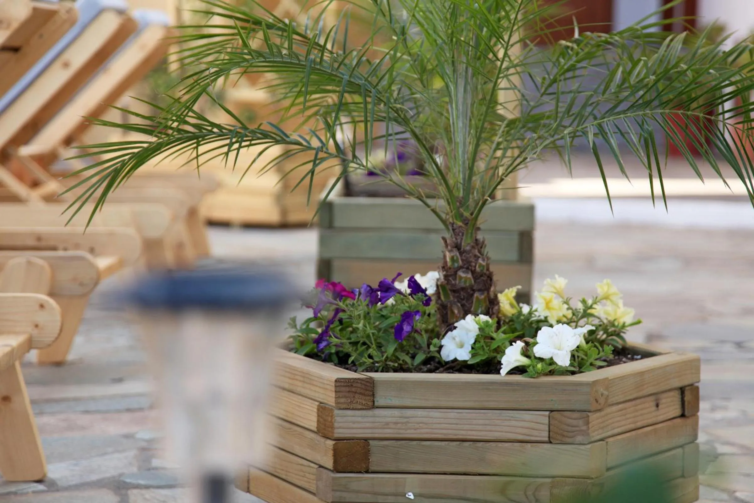 Decorative detail in Olga Studios