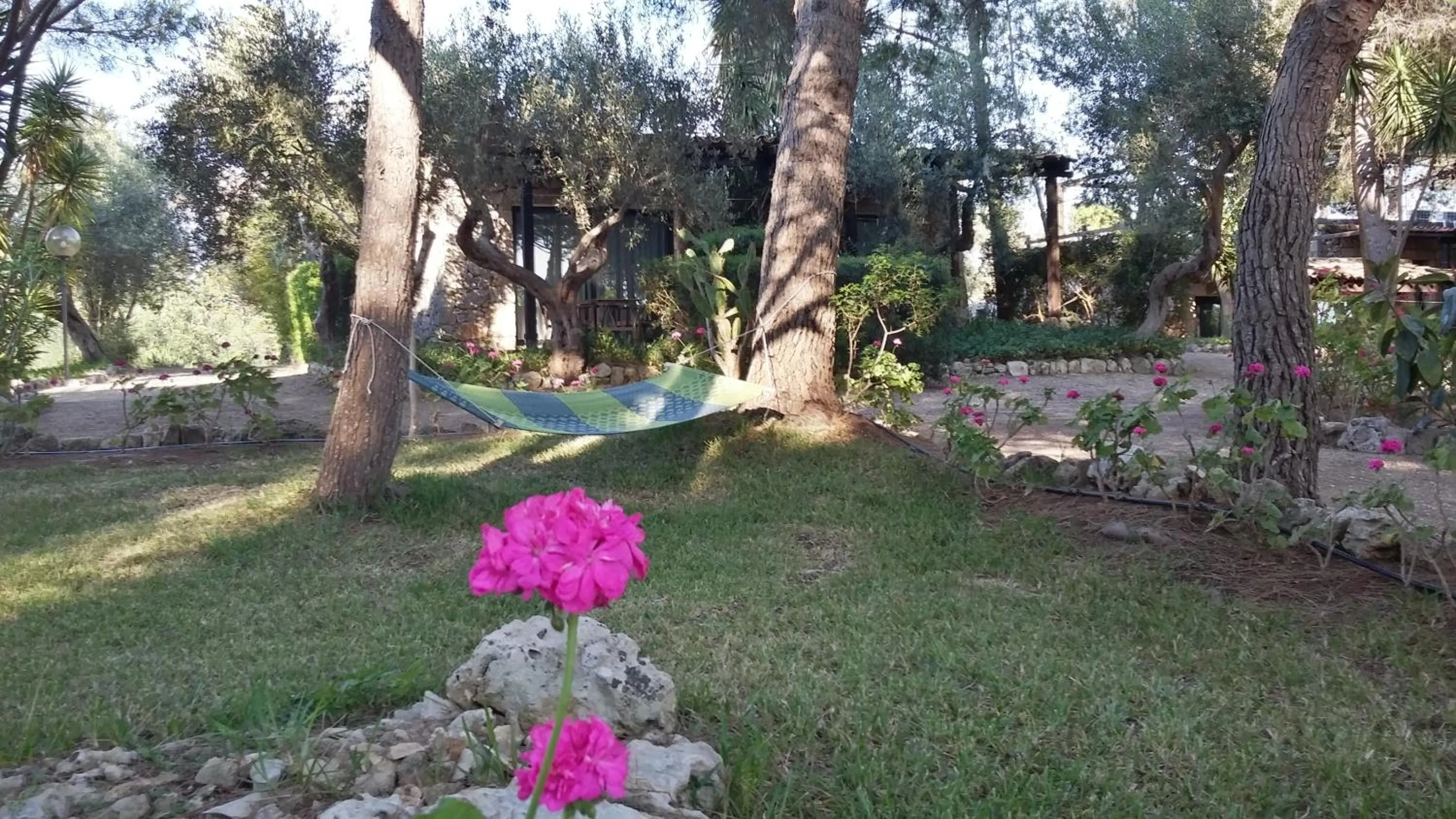 Garden in Tenuta Terenzano