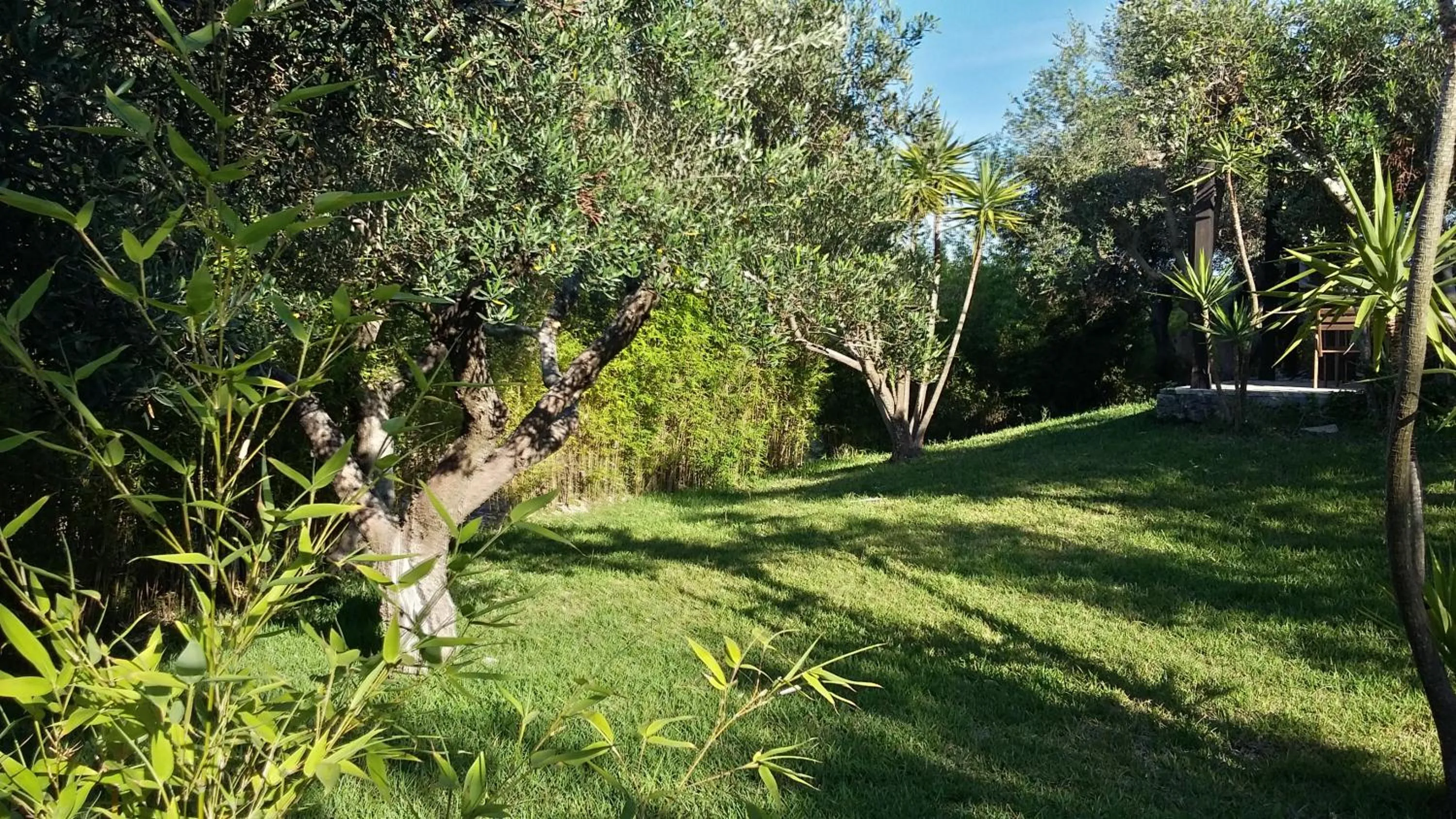 Garden in Tenuta Terenzano