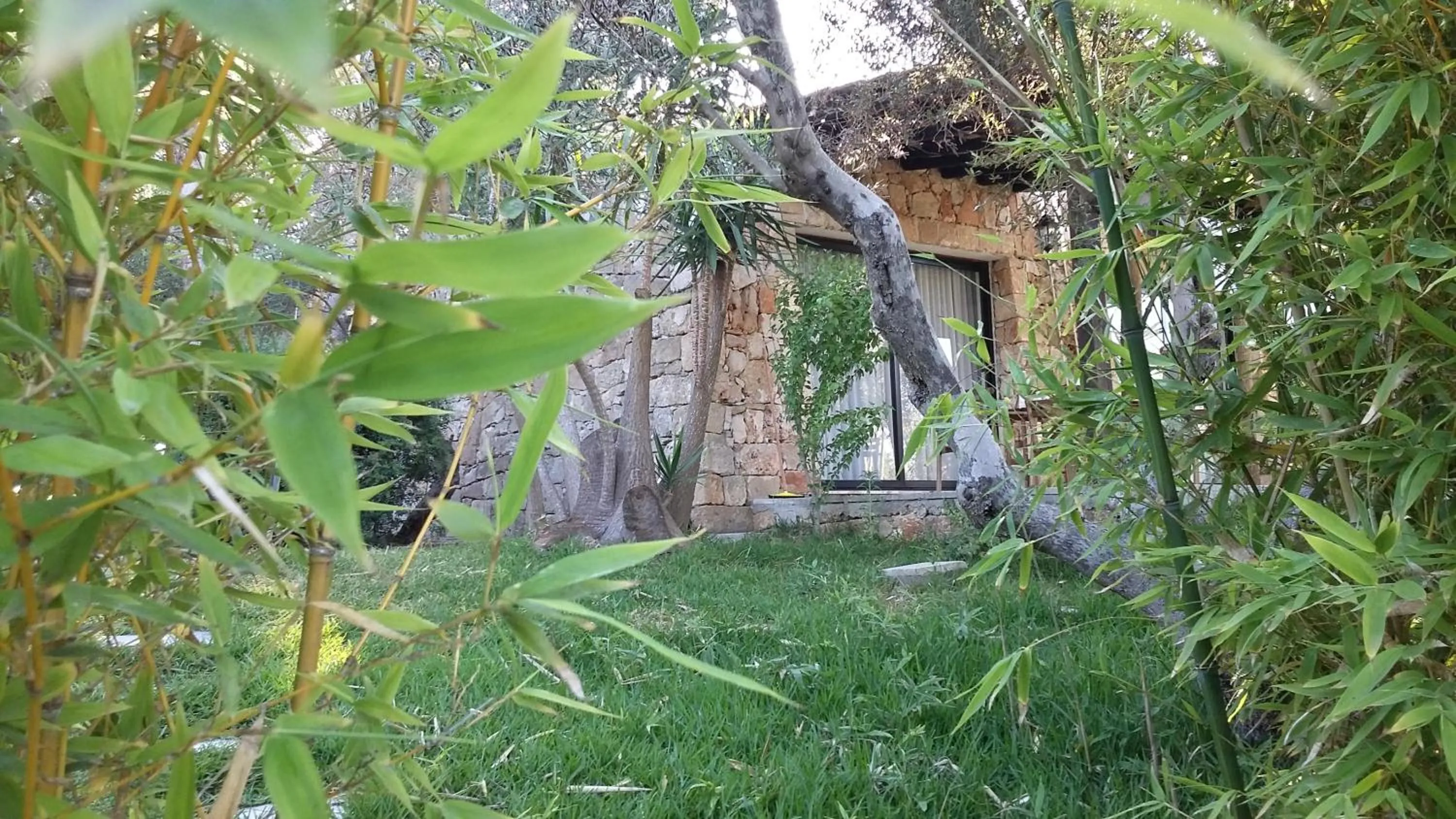 Garden in Tenuta Terenzano
