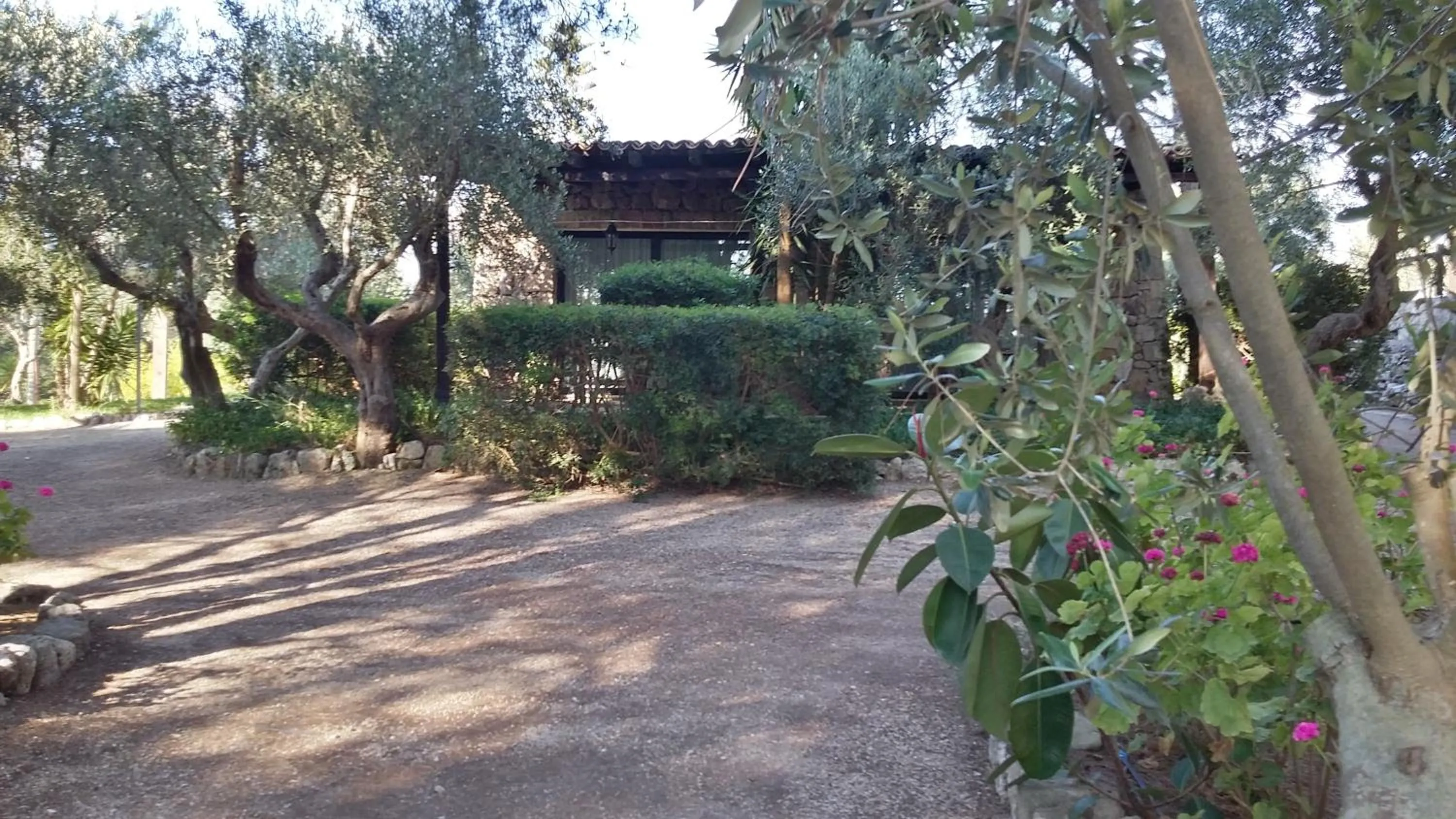 Garden in Tenuta Terenzano