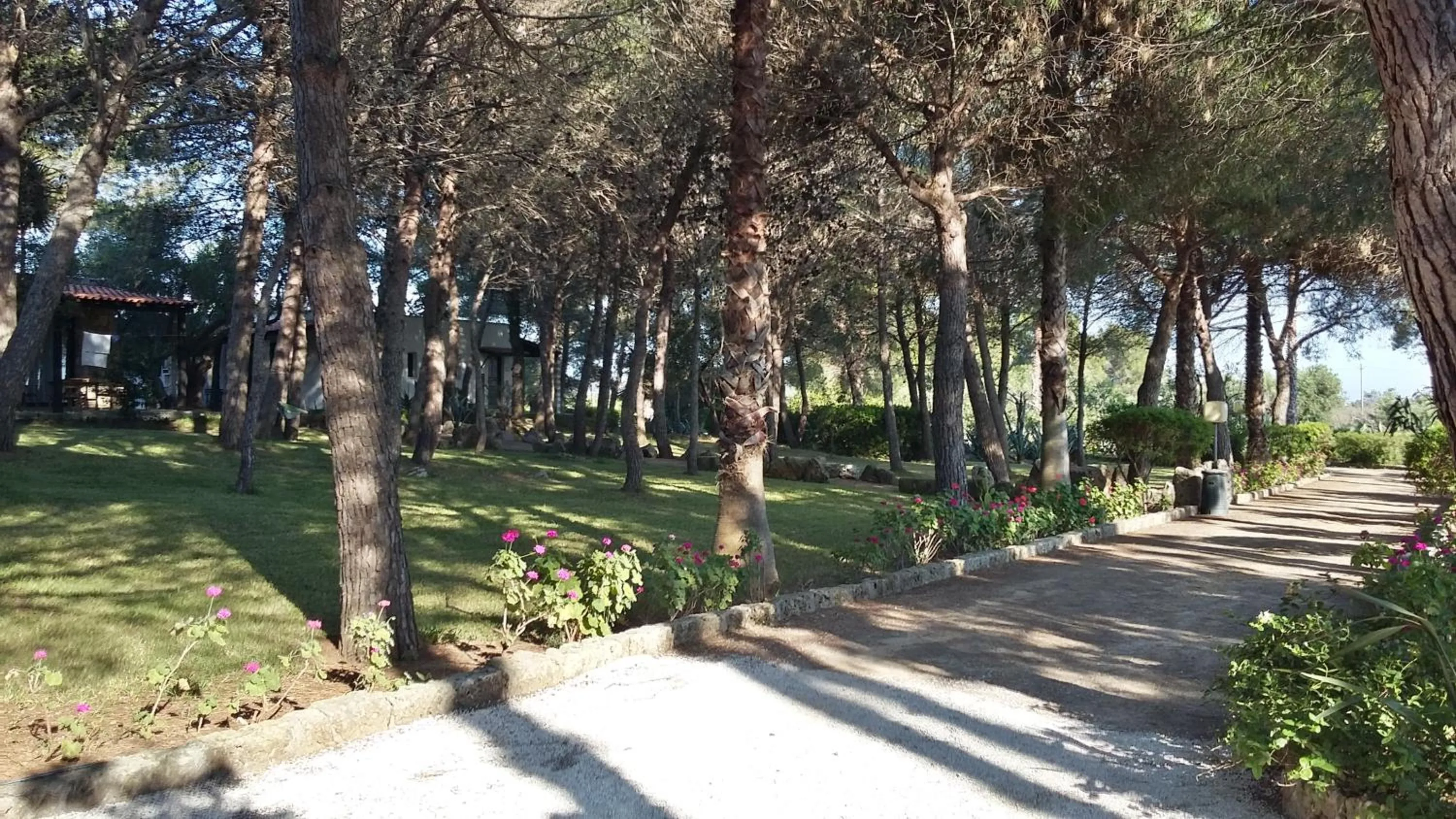 Garden in Tenuta Terenzano