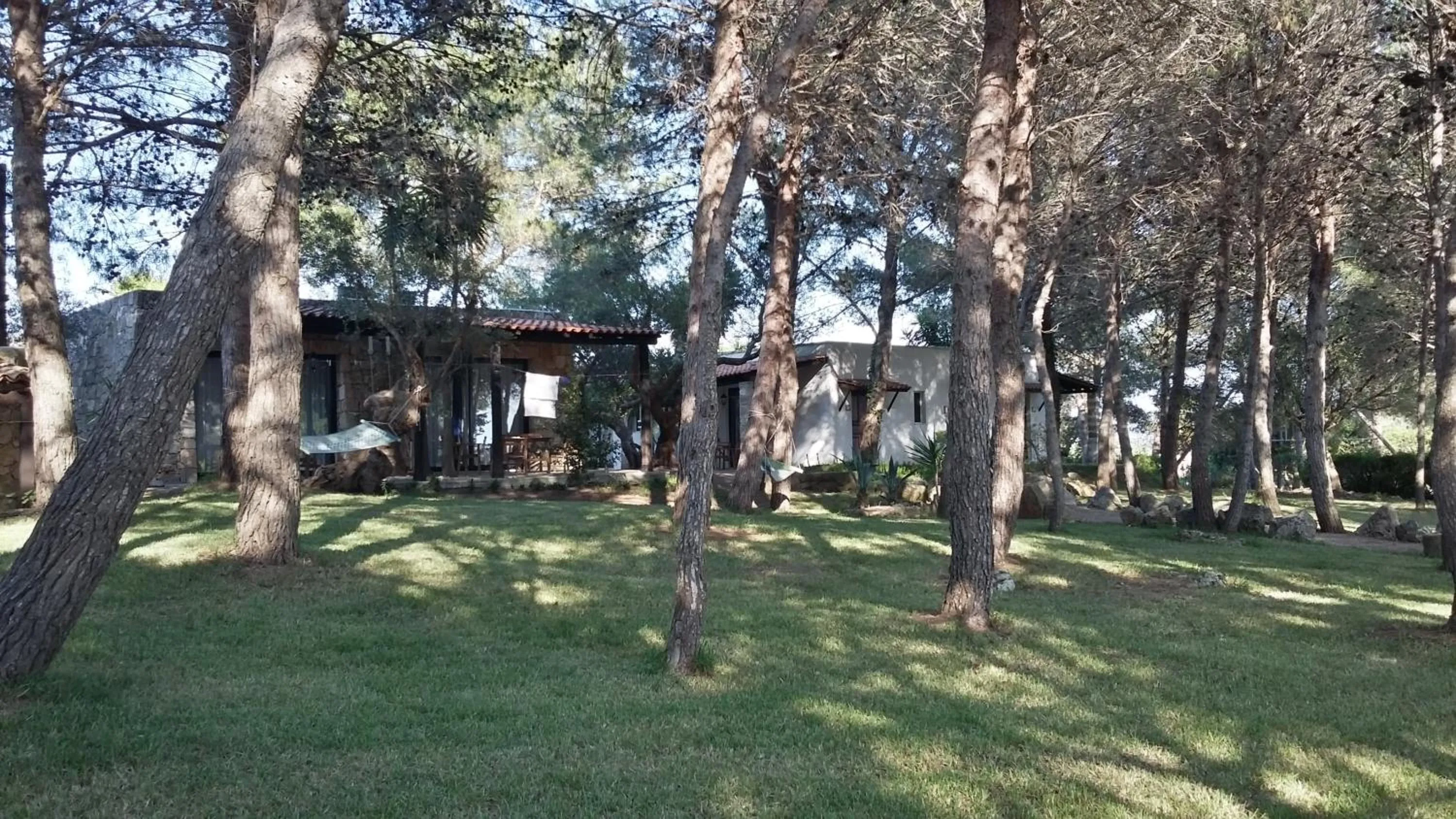 Garden in Tenuta Terenzano