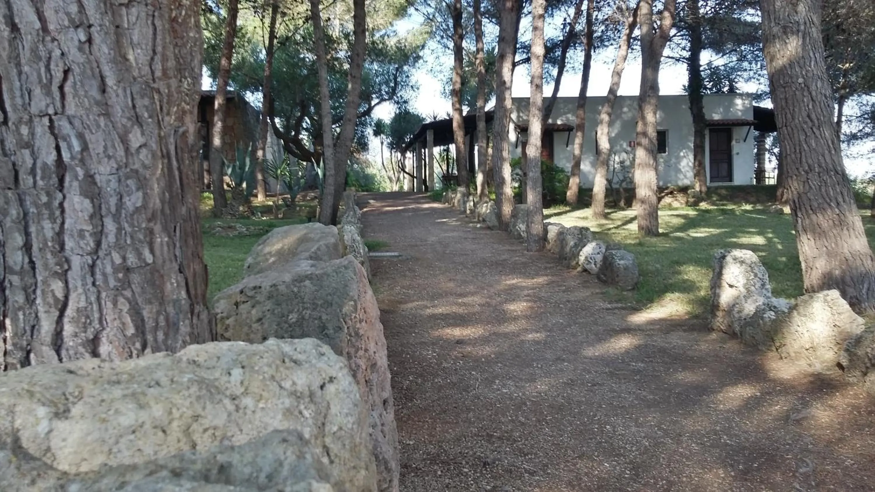 Garden in Tenuta Terenzano
