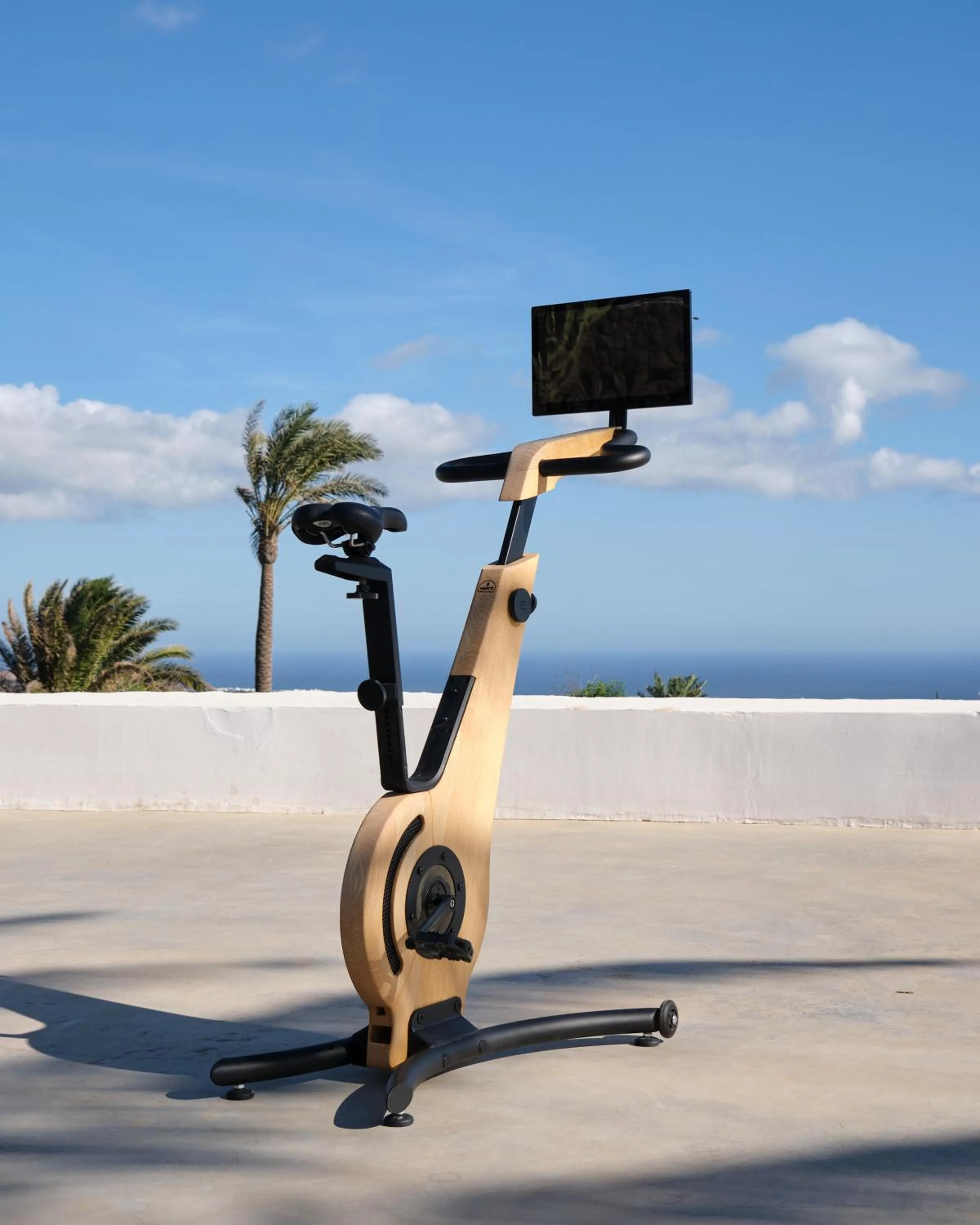 Fitness centre/facilities in César Lanzarote Luxury Boutique Hotel - Adults Only