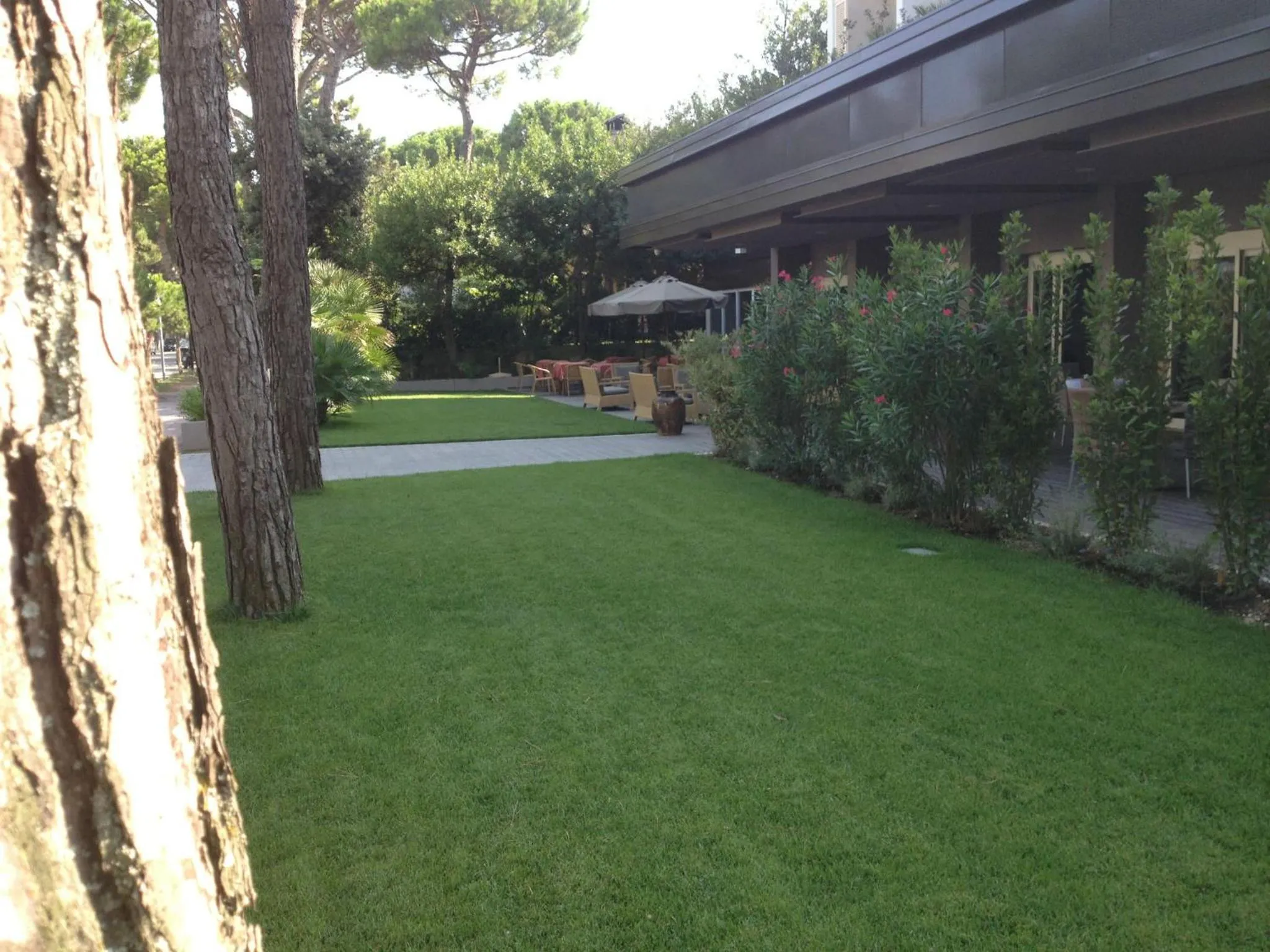 Garden in Hotel Parco