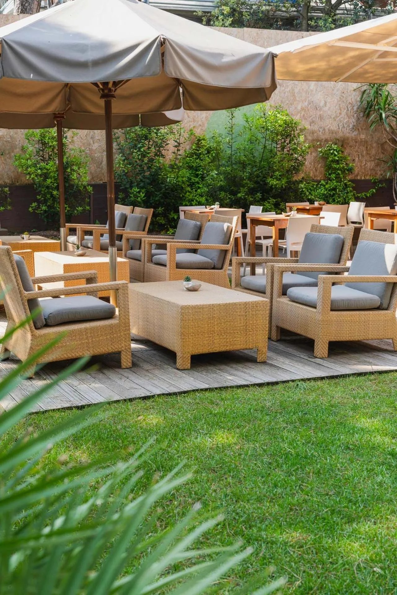 Garden in Hotel Parco