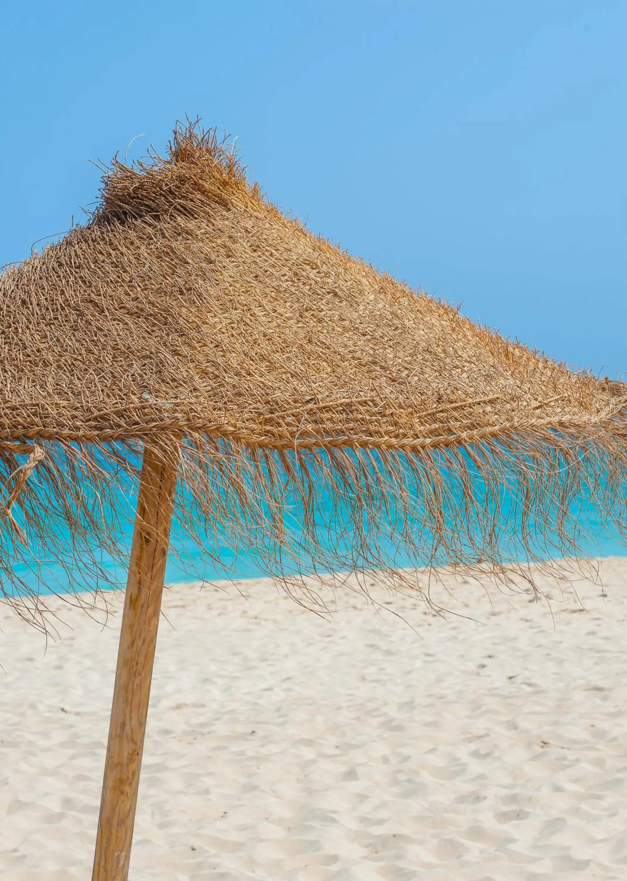 Beach in Oasis Belorizonte