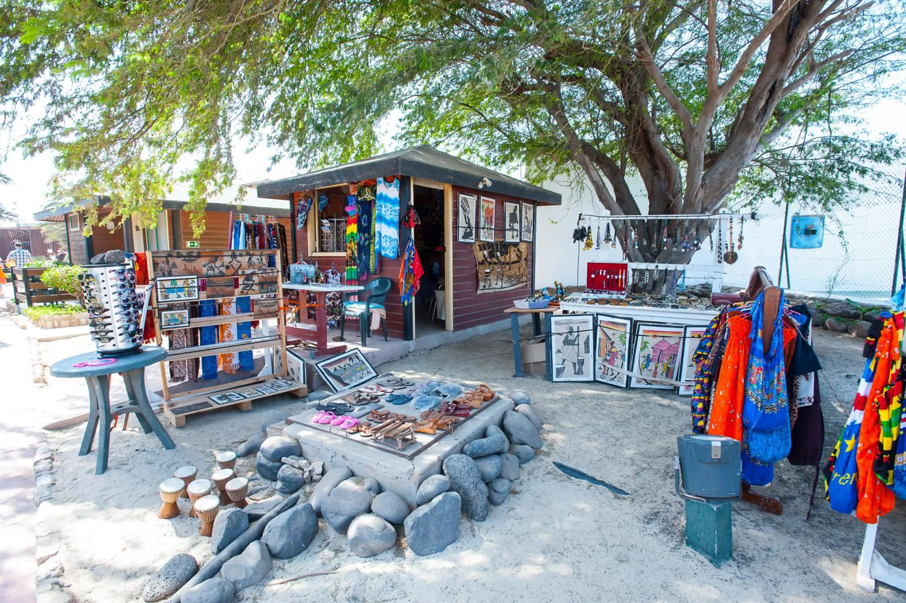 Fitness centre/facilities in Oasis Belorizonte