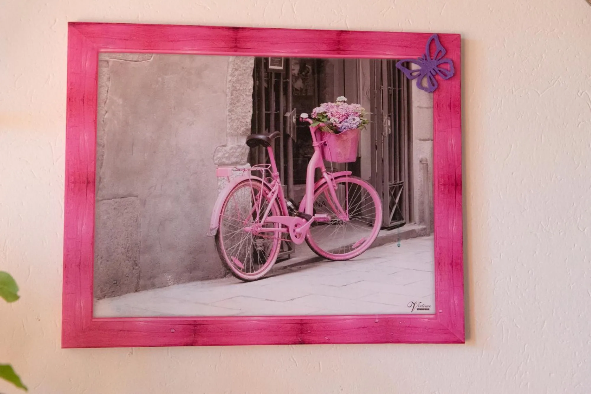 Caicai Bed And Breakfast