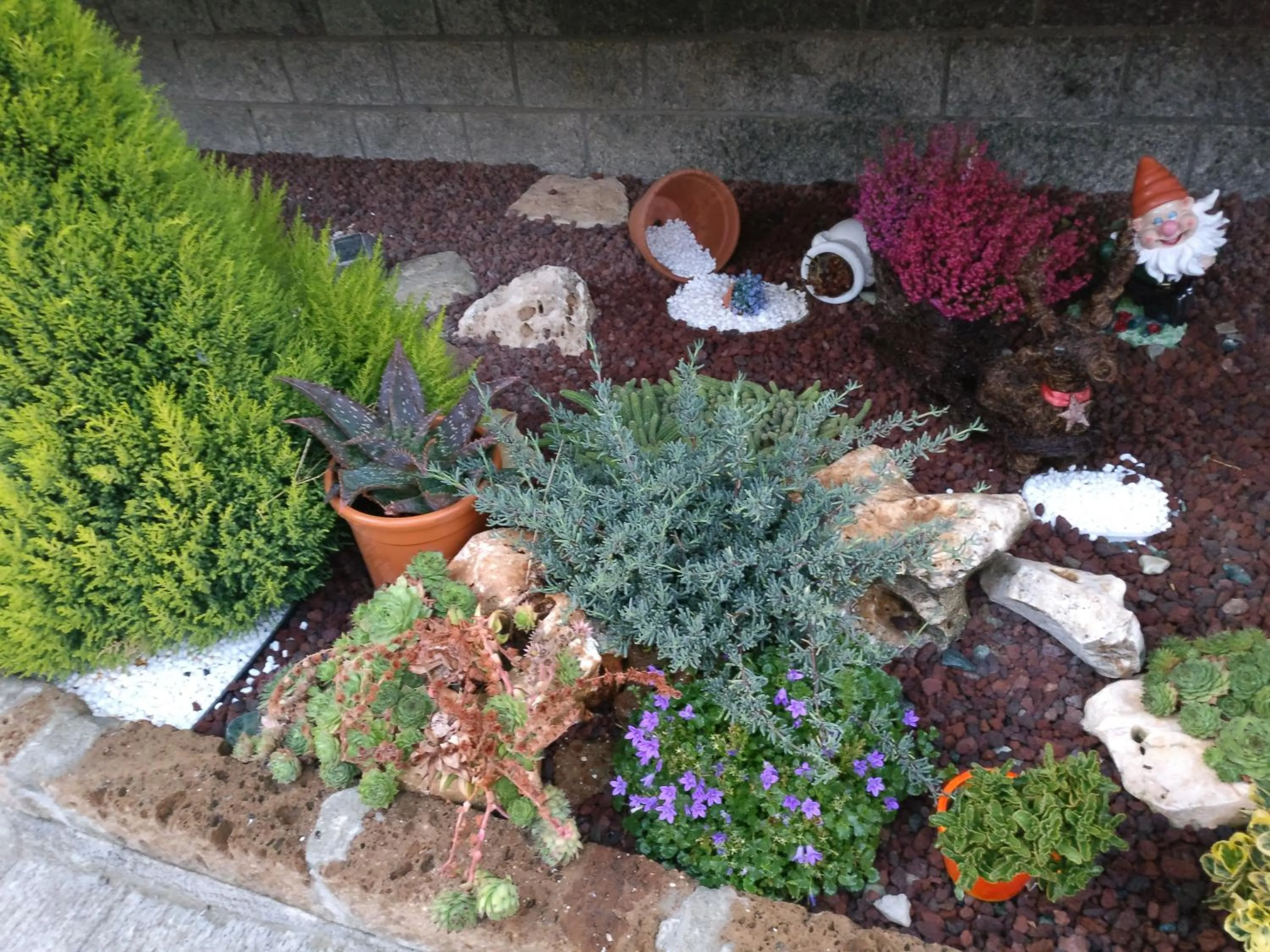 Caicai Bed And Breakfast