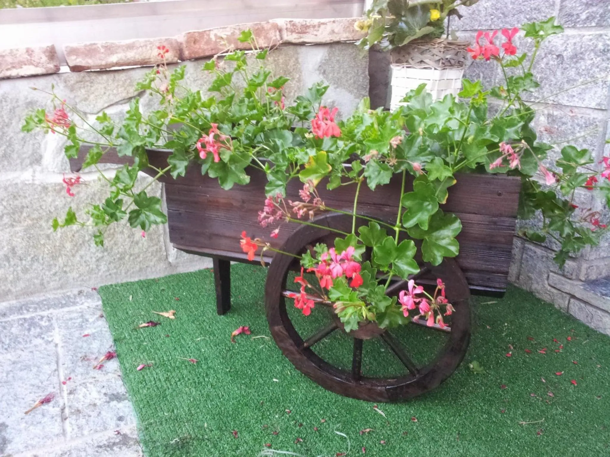 Garden in Caicai Bed And Breakfast