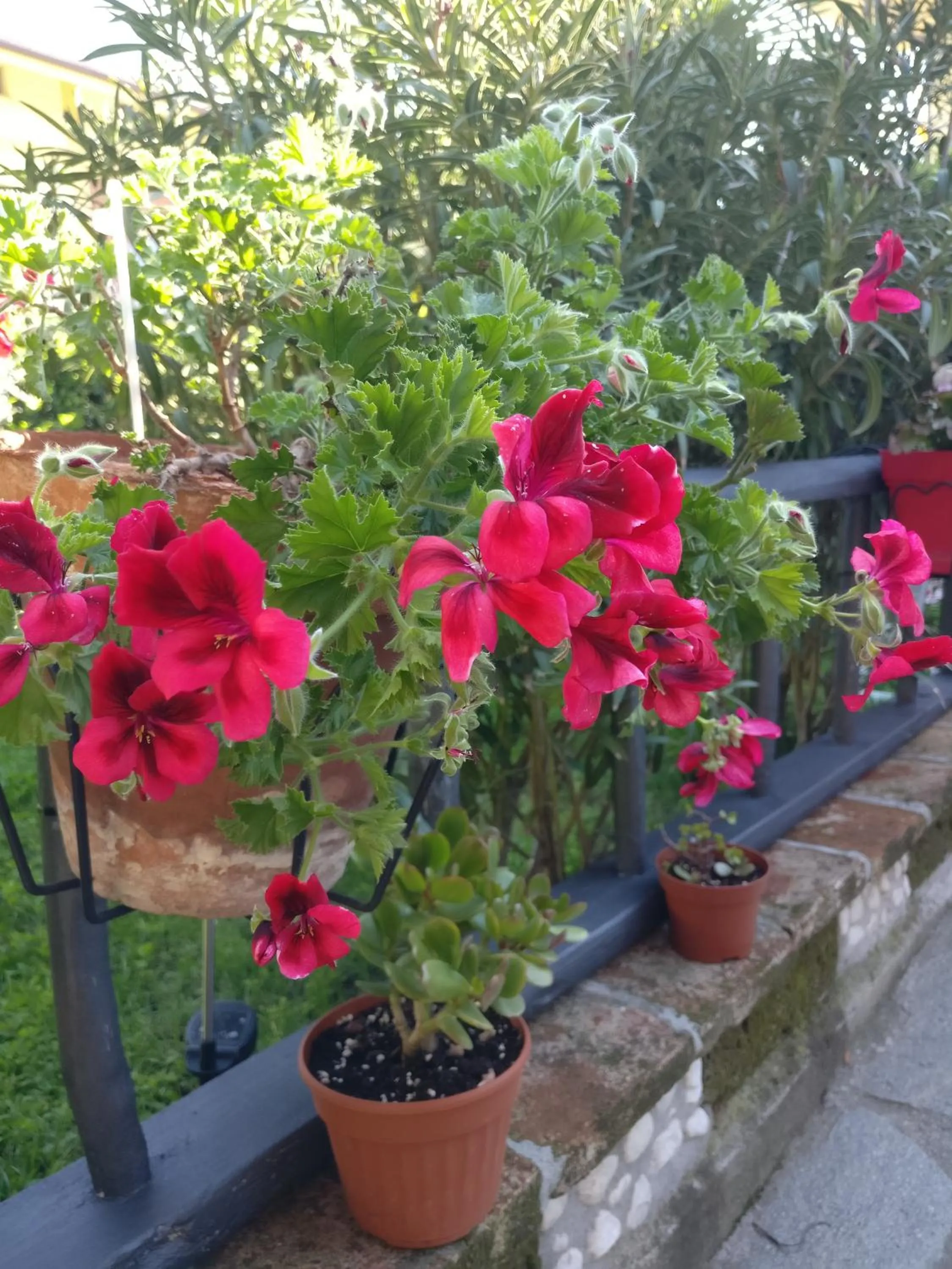 Caicai Bed And Breakfast