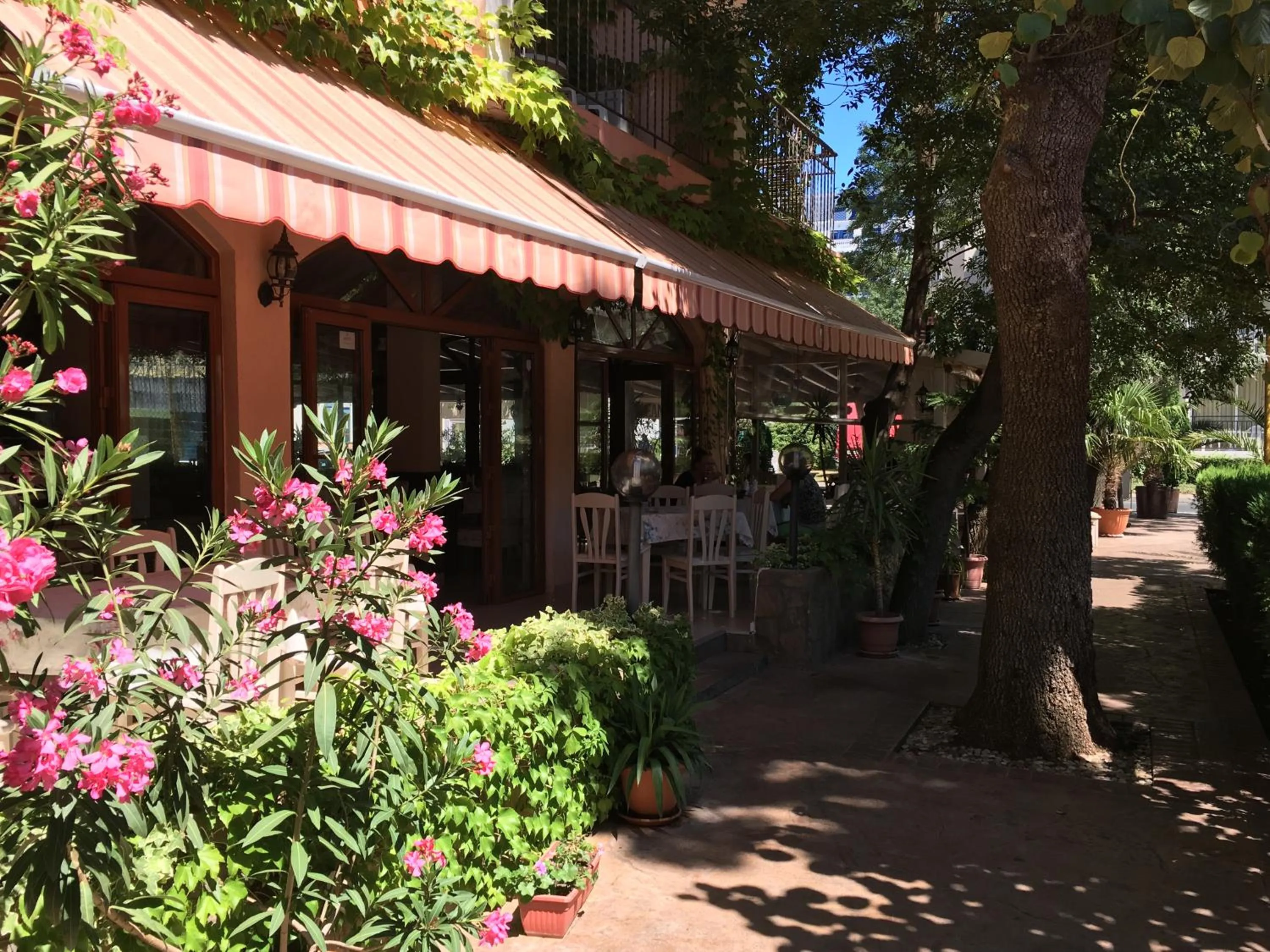 Restaurant/places to eat in Oleander House and Tennis Club