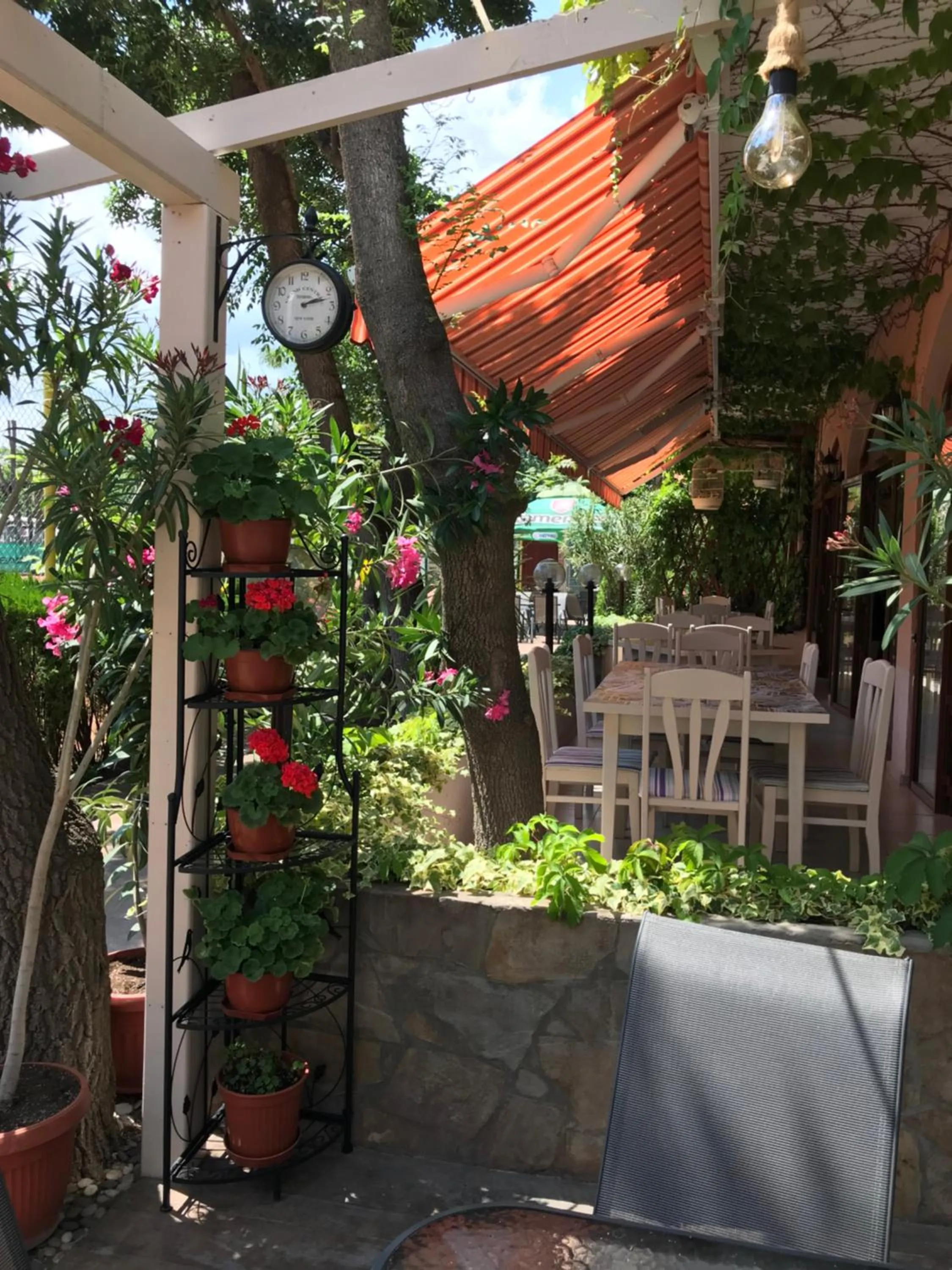 Restaurant/places to eat in Oleander House and Tennis Club