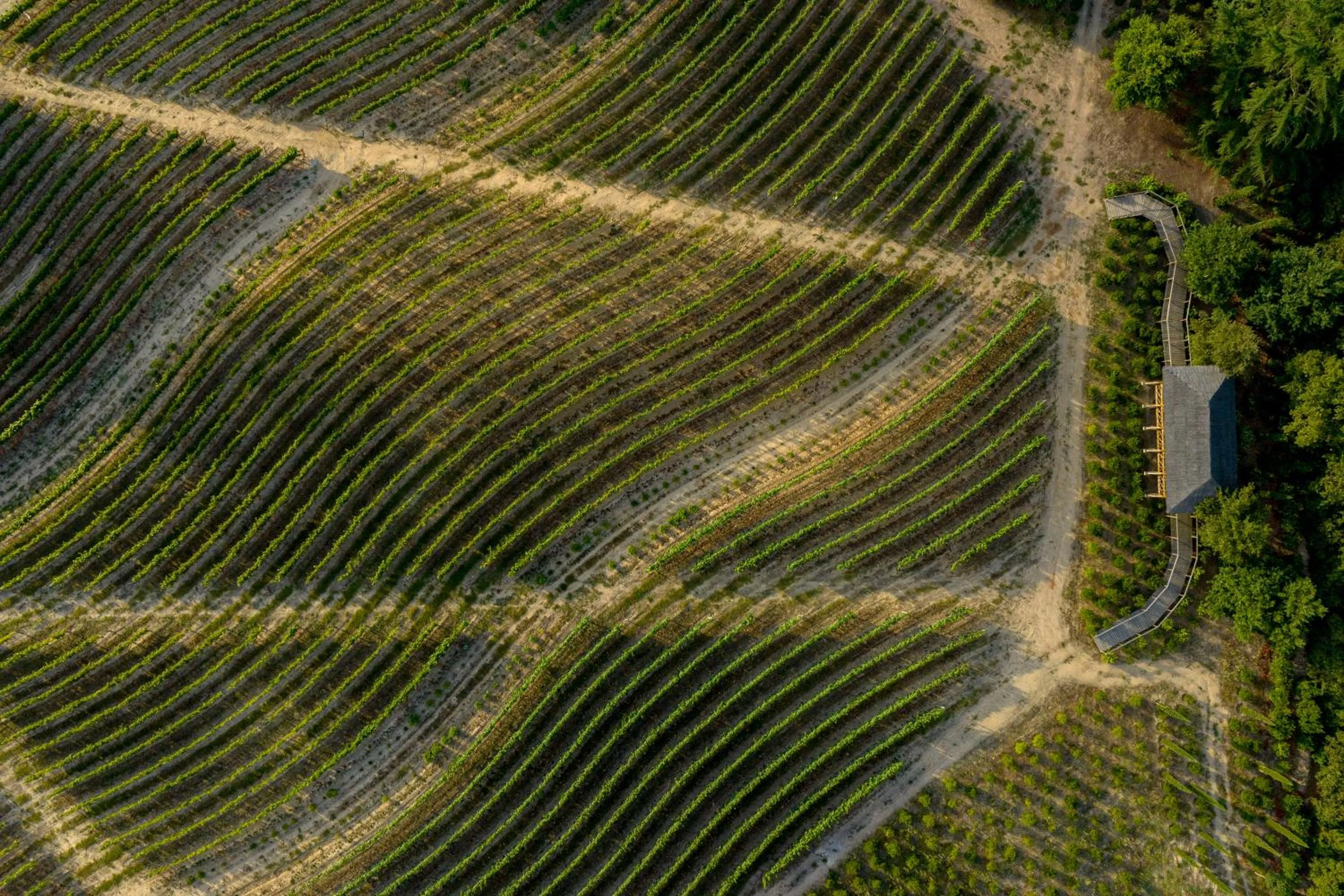 Garden in Valverde Santar Hotel & SPA - Relais & Châteaux