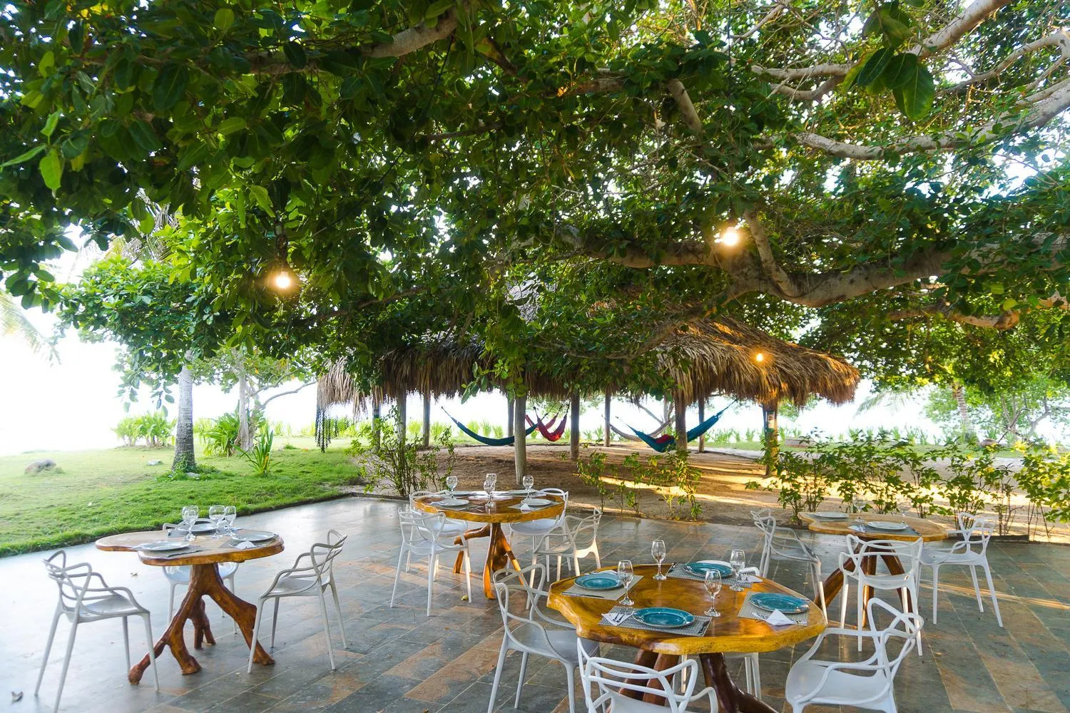 Restaurant/places to eat in Hotel Rosario de Mar by Tequendama