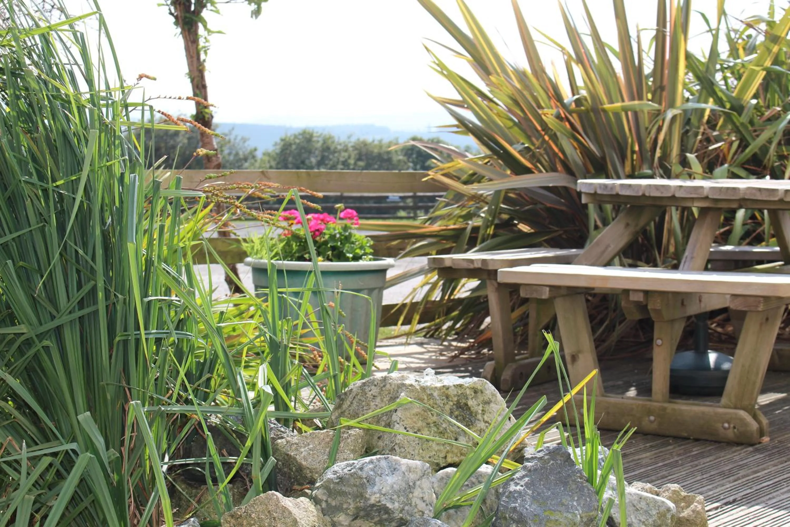 Garden in The Moorland Hotel