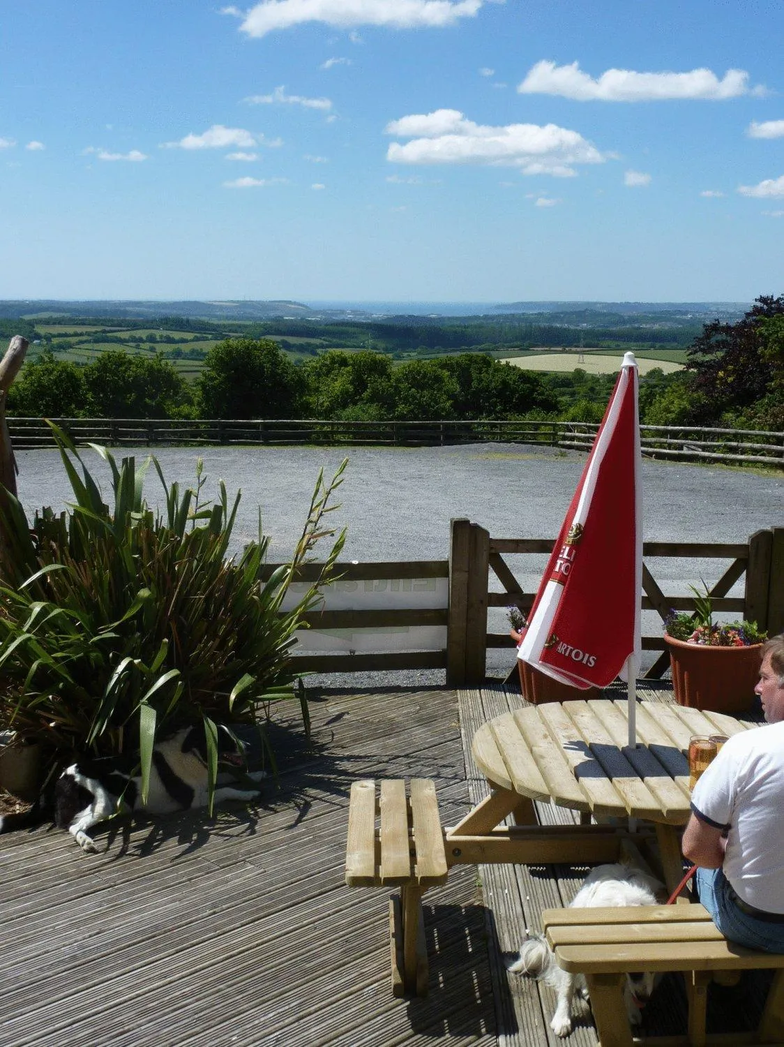 Garden in The Moorland Hotel