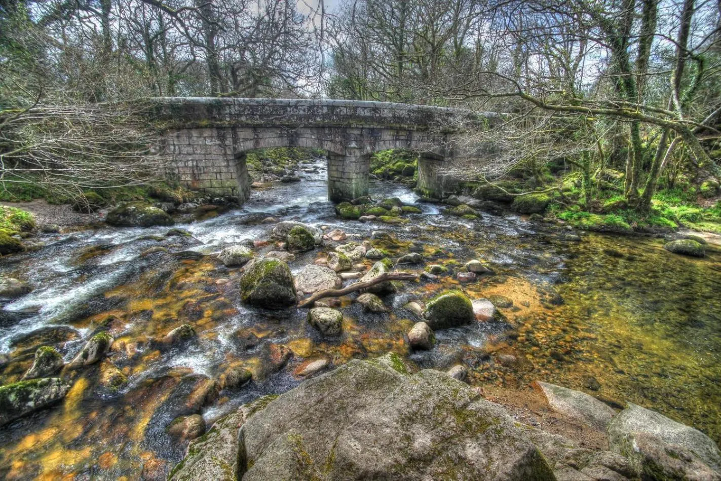 Area and facilities in The Moorland Hotel