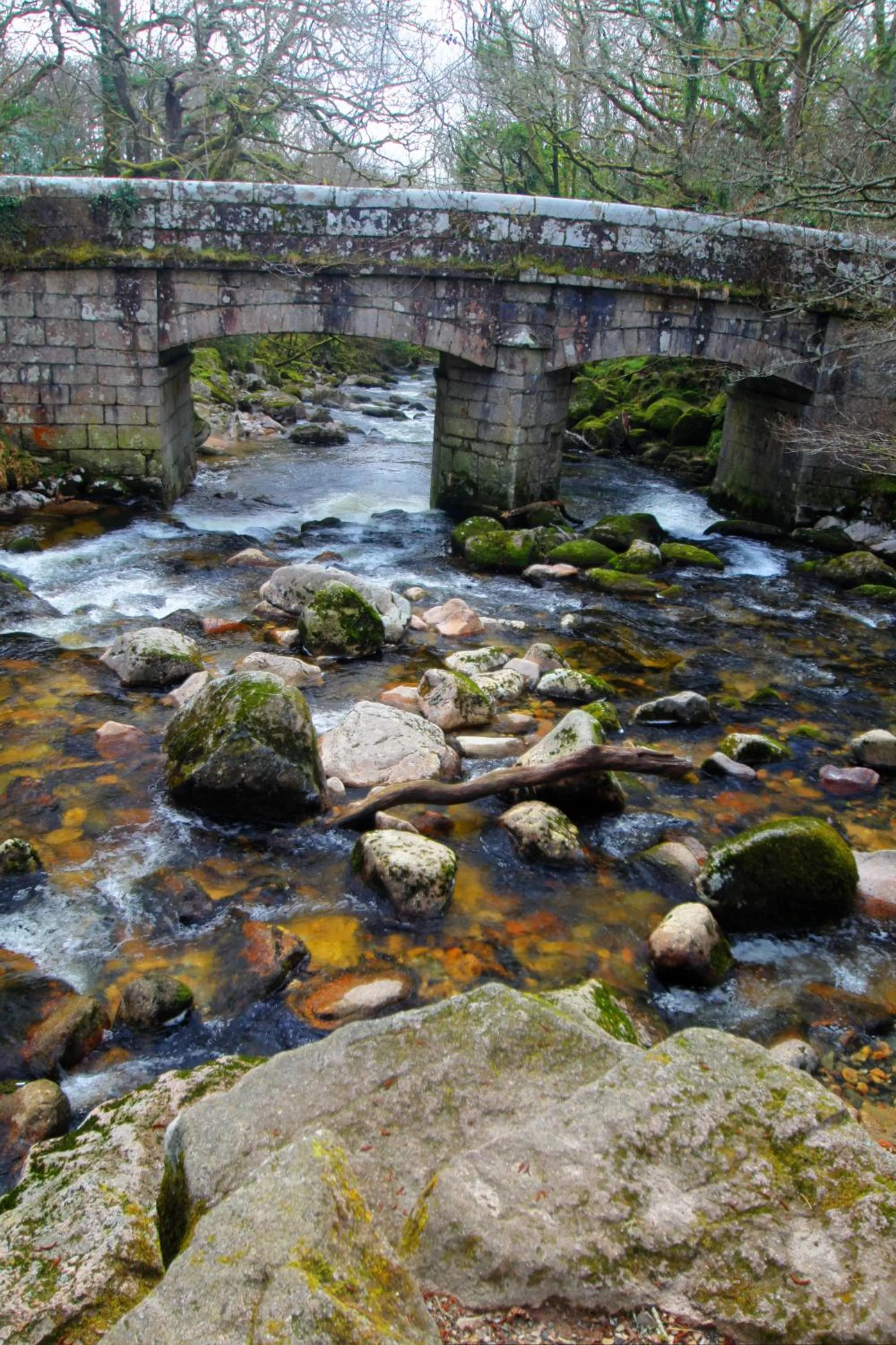 Hiking in The Moorland Hotel
