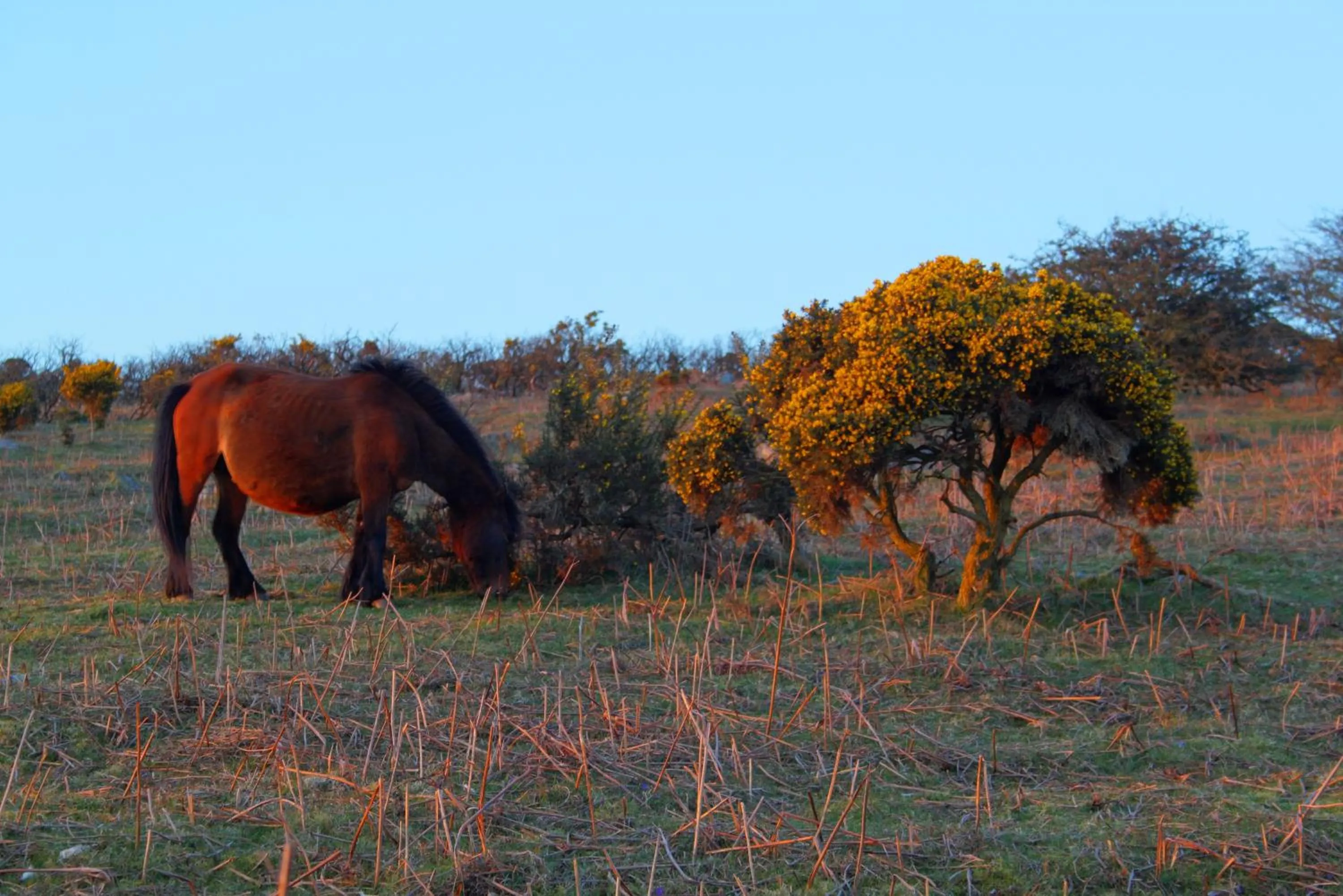 Area and facilities in The Moorland Hotel