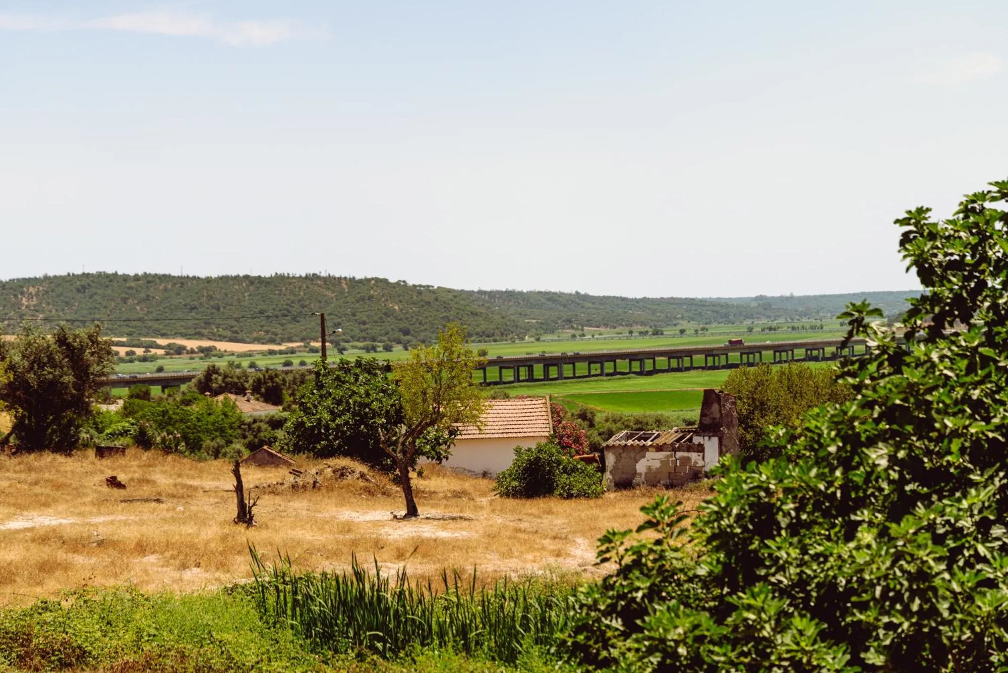 4Ever Palace Design&Nature