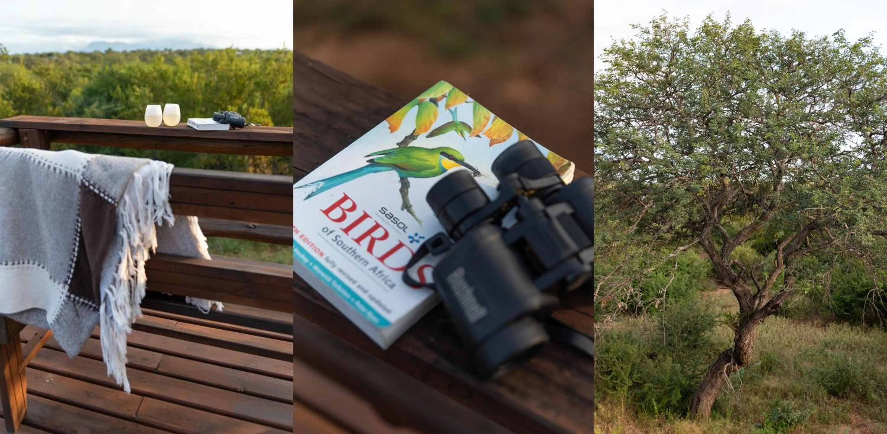 Mountain view in Nyaleti Lodge