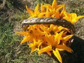 Other in Hotel Muita di Mari