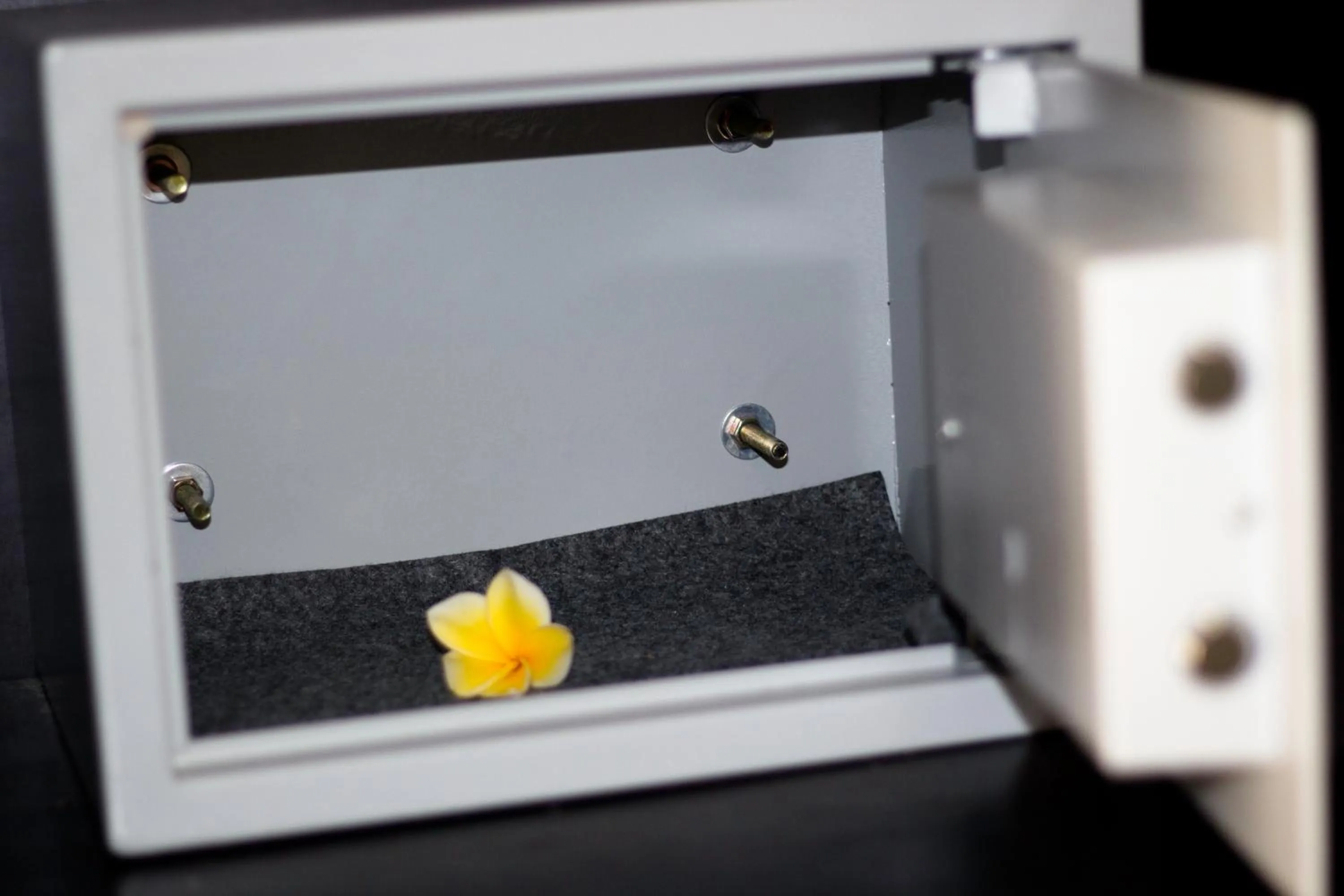 Other in The Brothers Villa