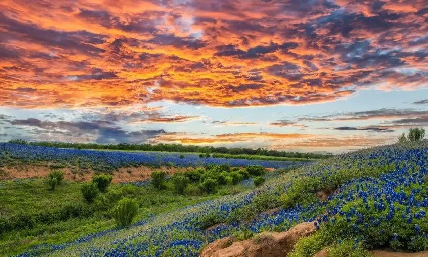 2 Kings Hot Tub Modern Cottage Hill Country