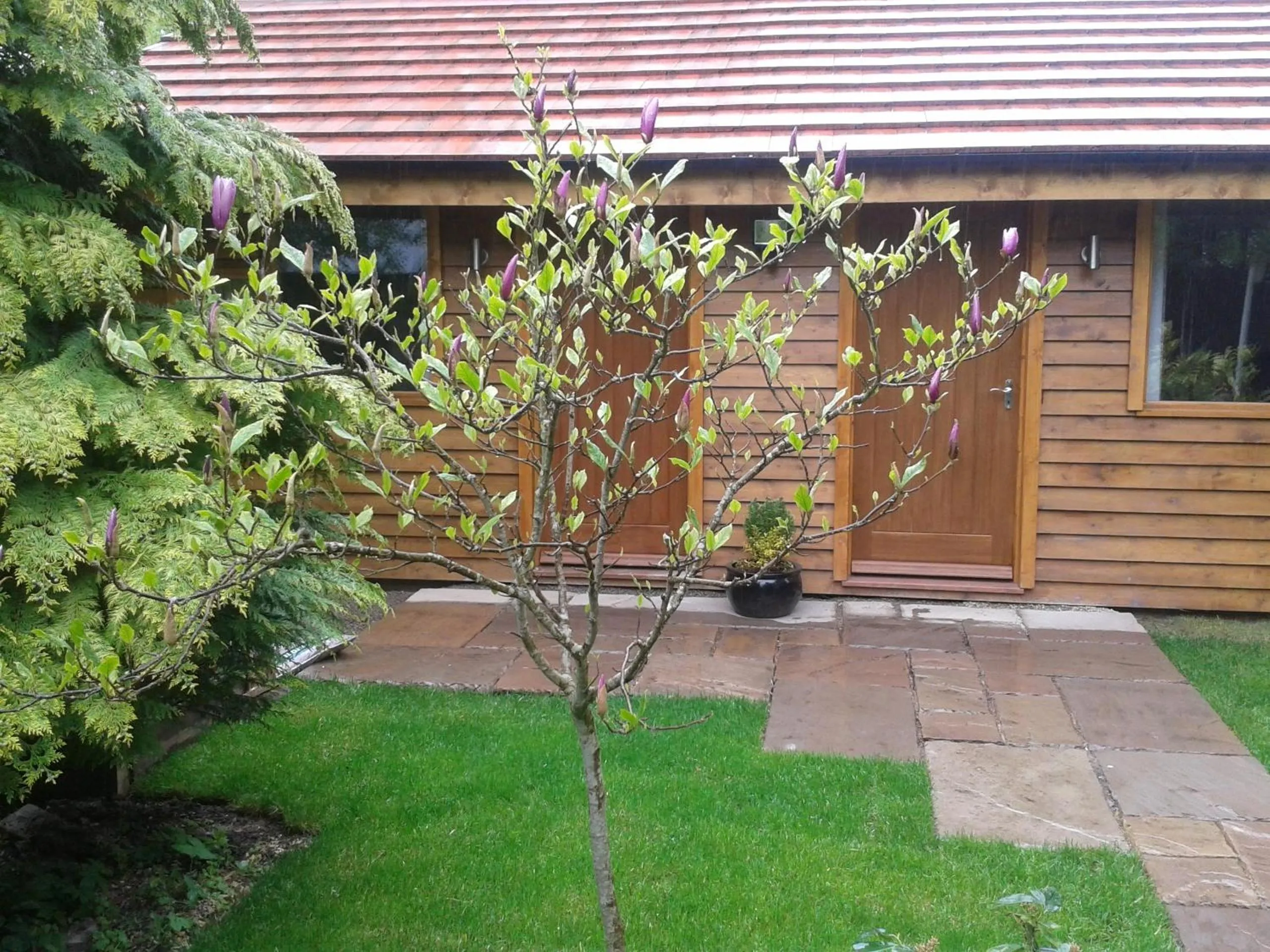 Facade/entrance in Manor Garden Lodge