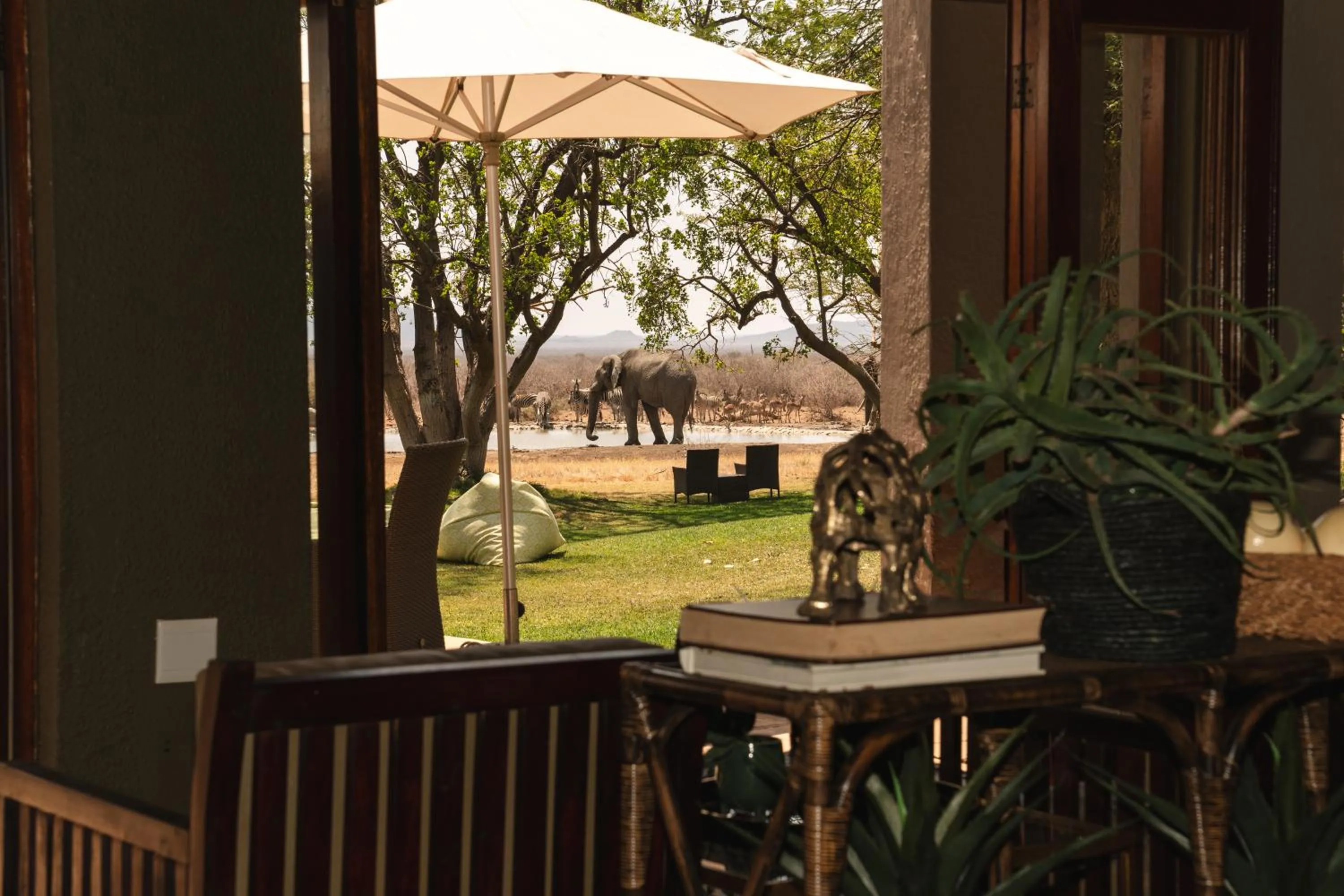 Patio in Last Word Madikwe