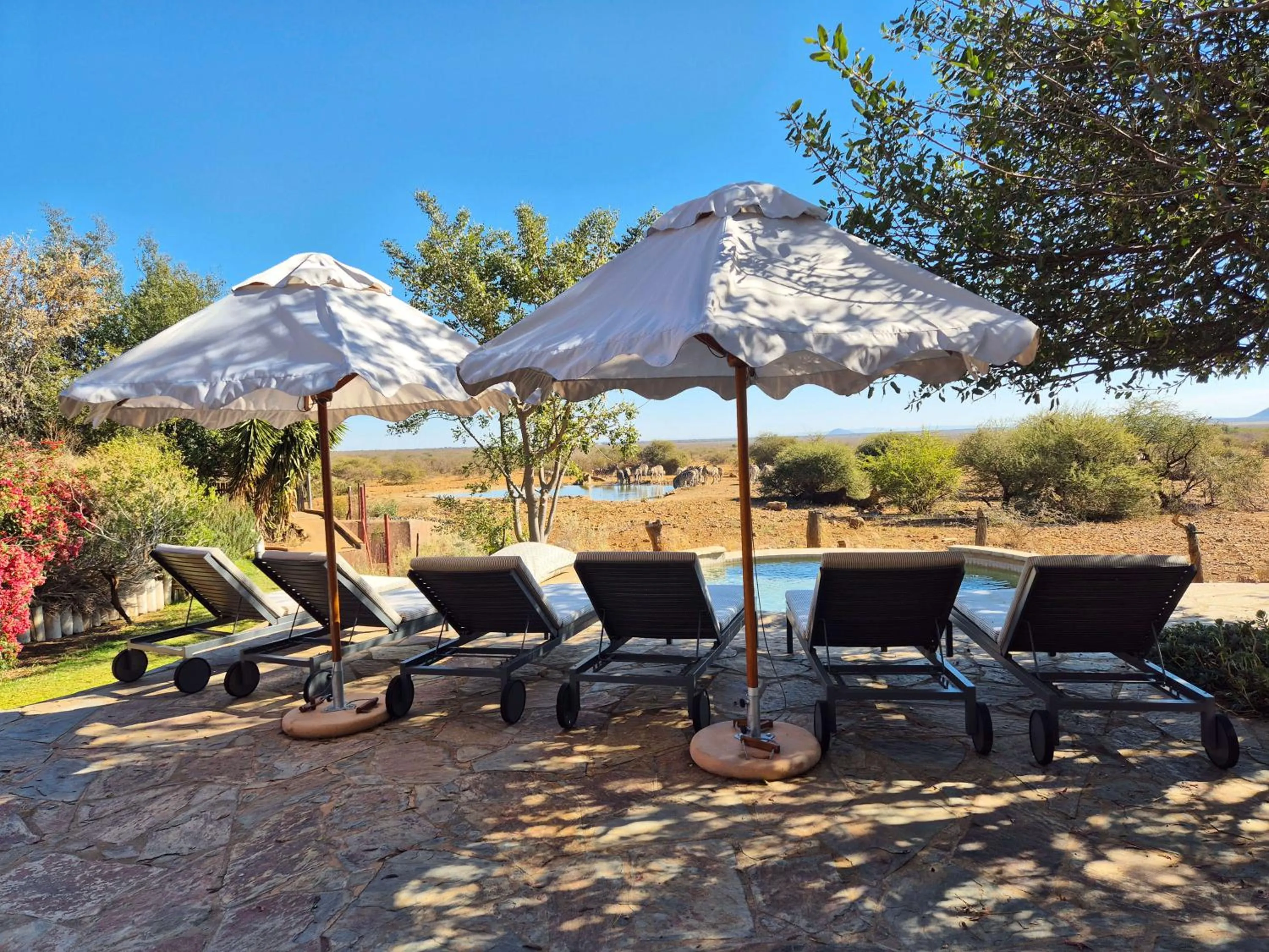 Patio in Last Word Madikwe