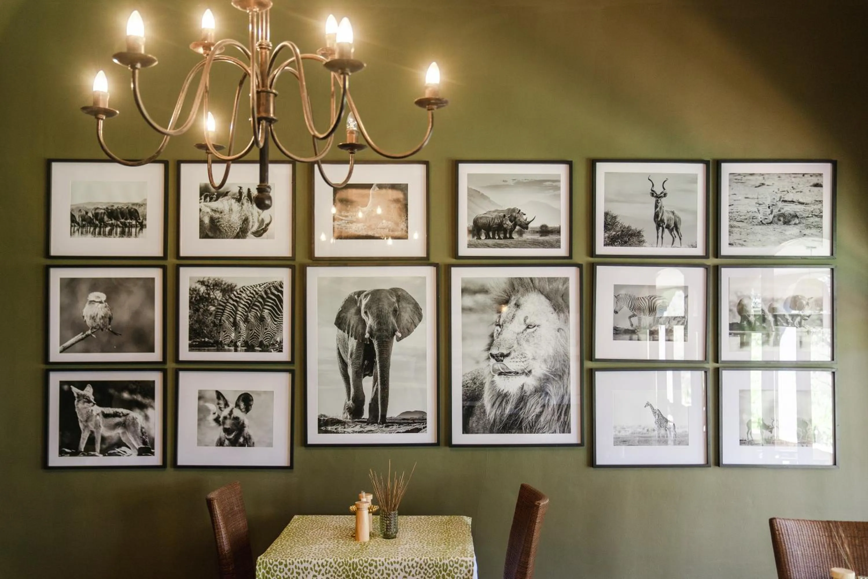 Decorative detail in Last Word Madikwe