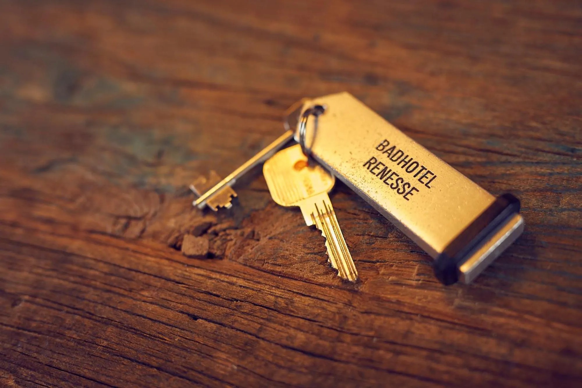 Photo of the whole room in Romantik Badhotel Renesse