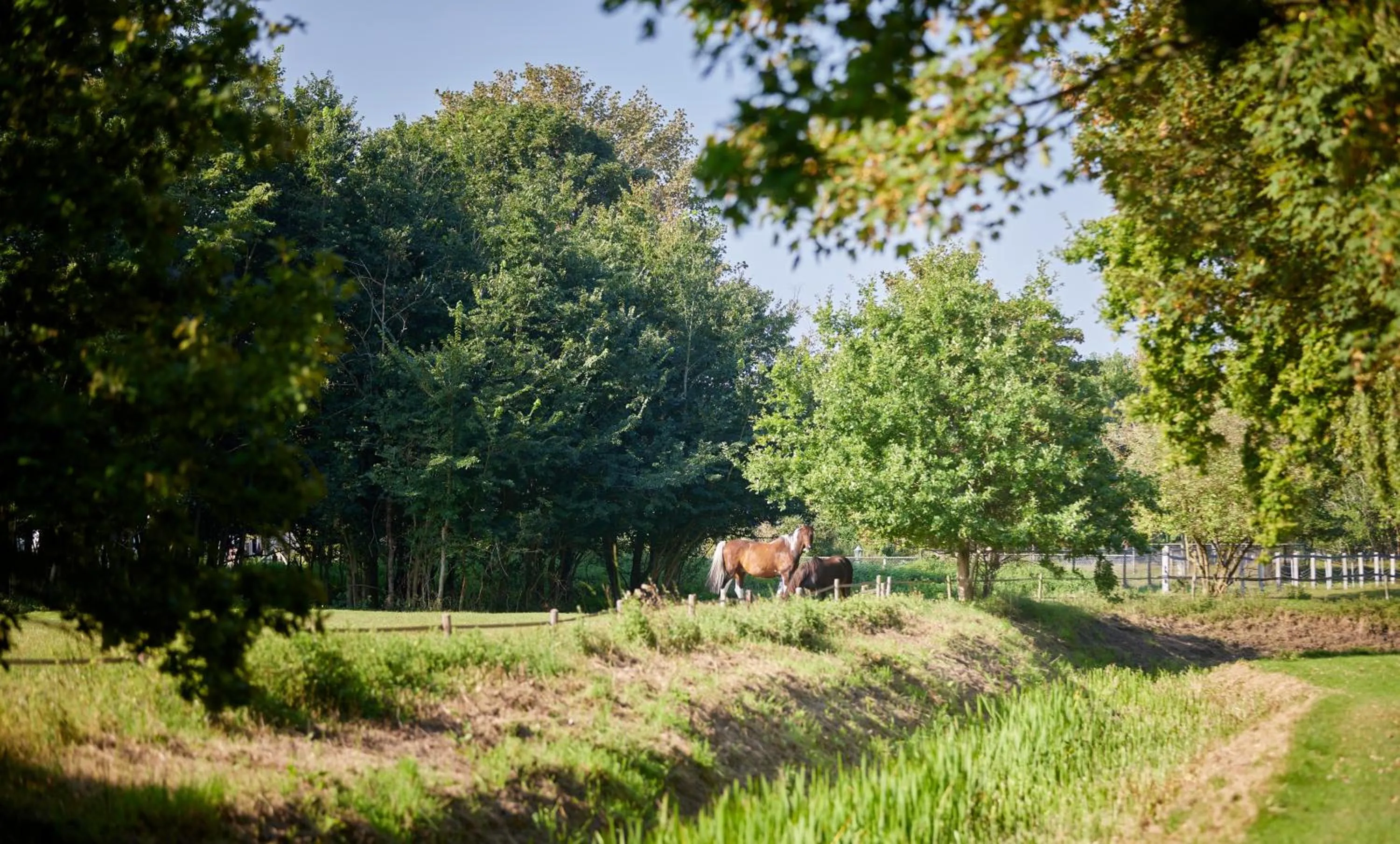 Romantik Badhotel Renesse
