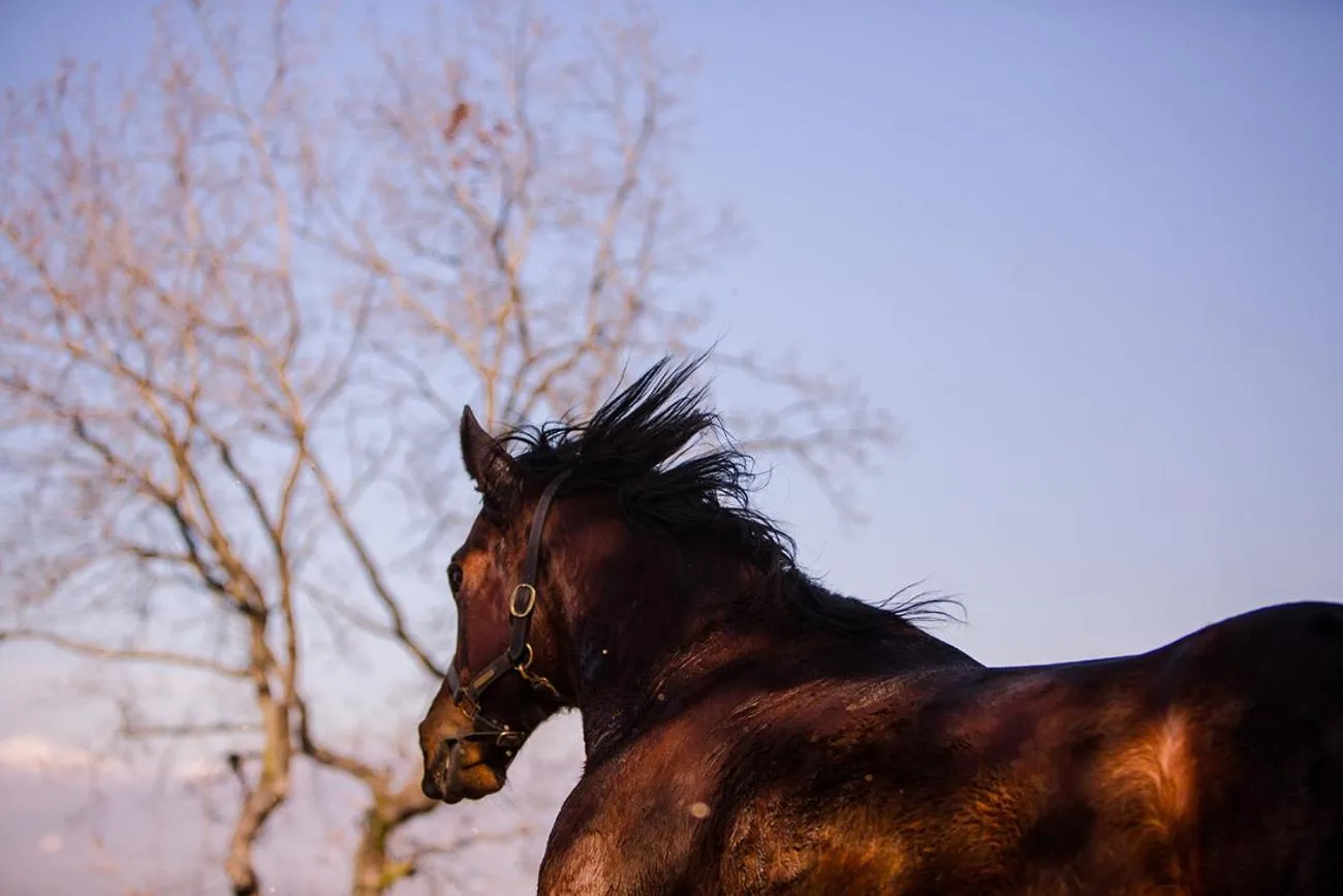 La Pampa Relais & Spa