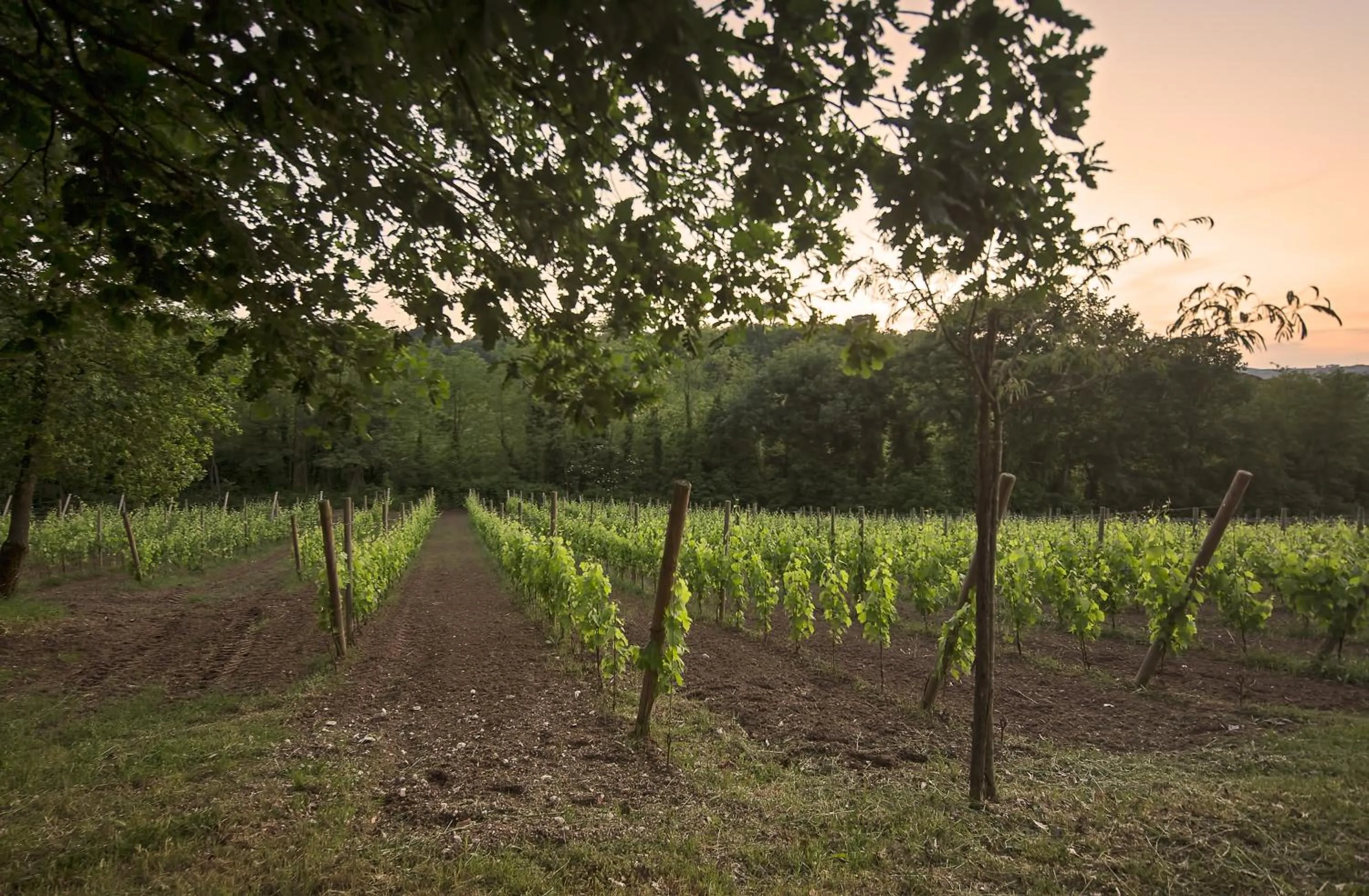 Other in La Pampa Relais & Spa