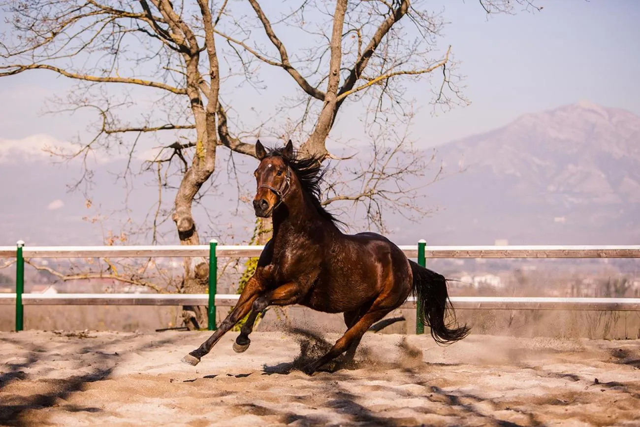 La Pampa Relais & Spa