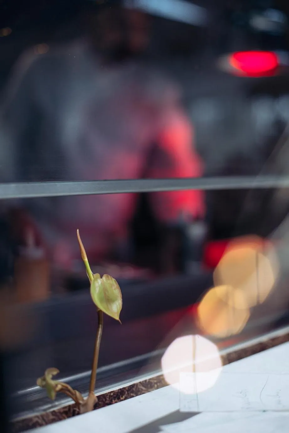 La Pampa Relais & Spa