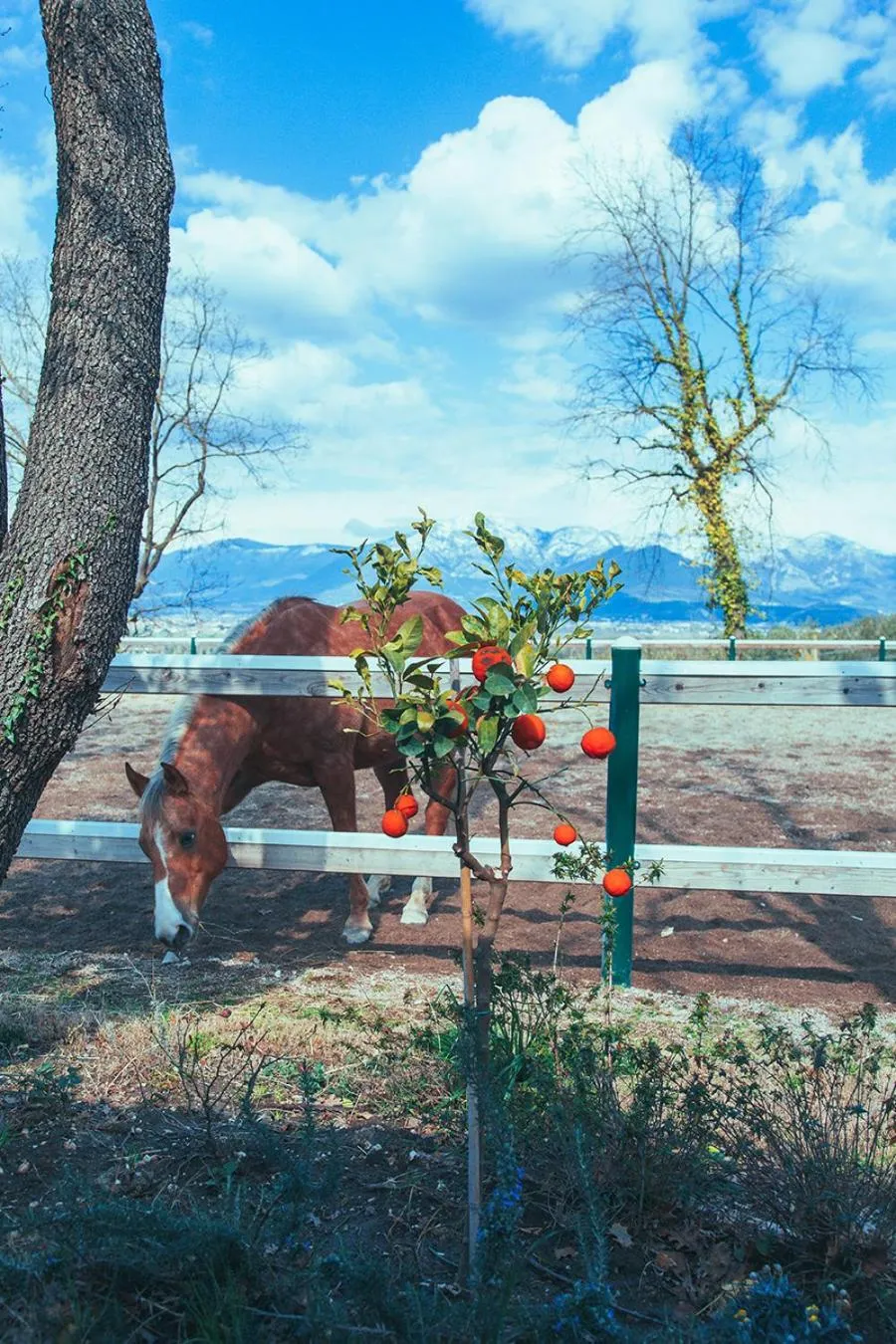 La Pampa Relais & Spa