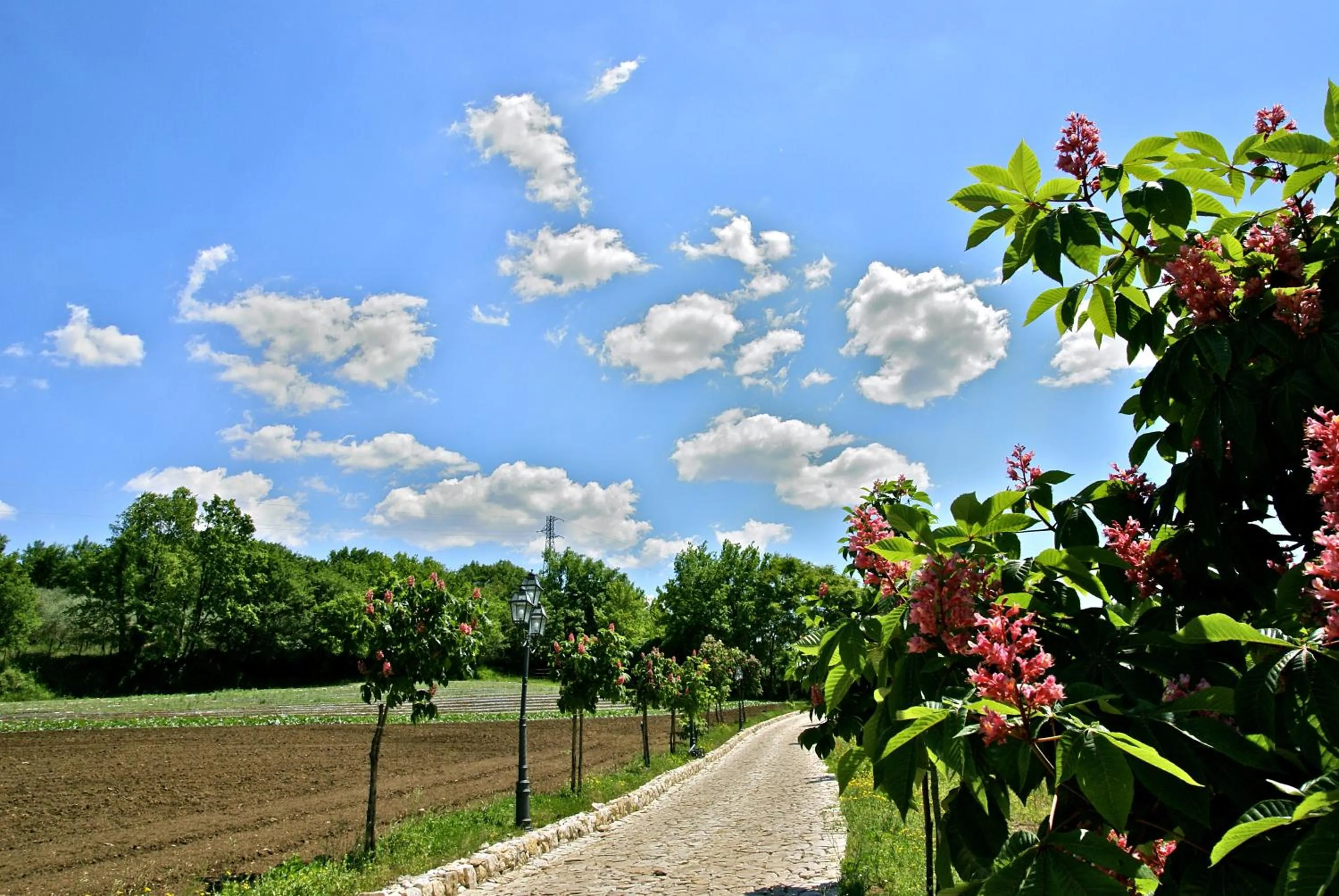 Day in La Pampa Relais & Spa