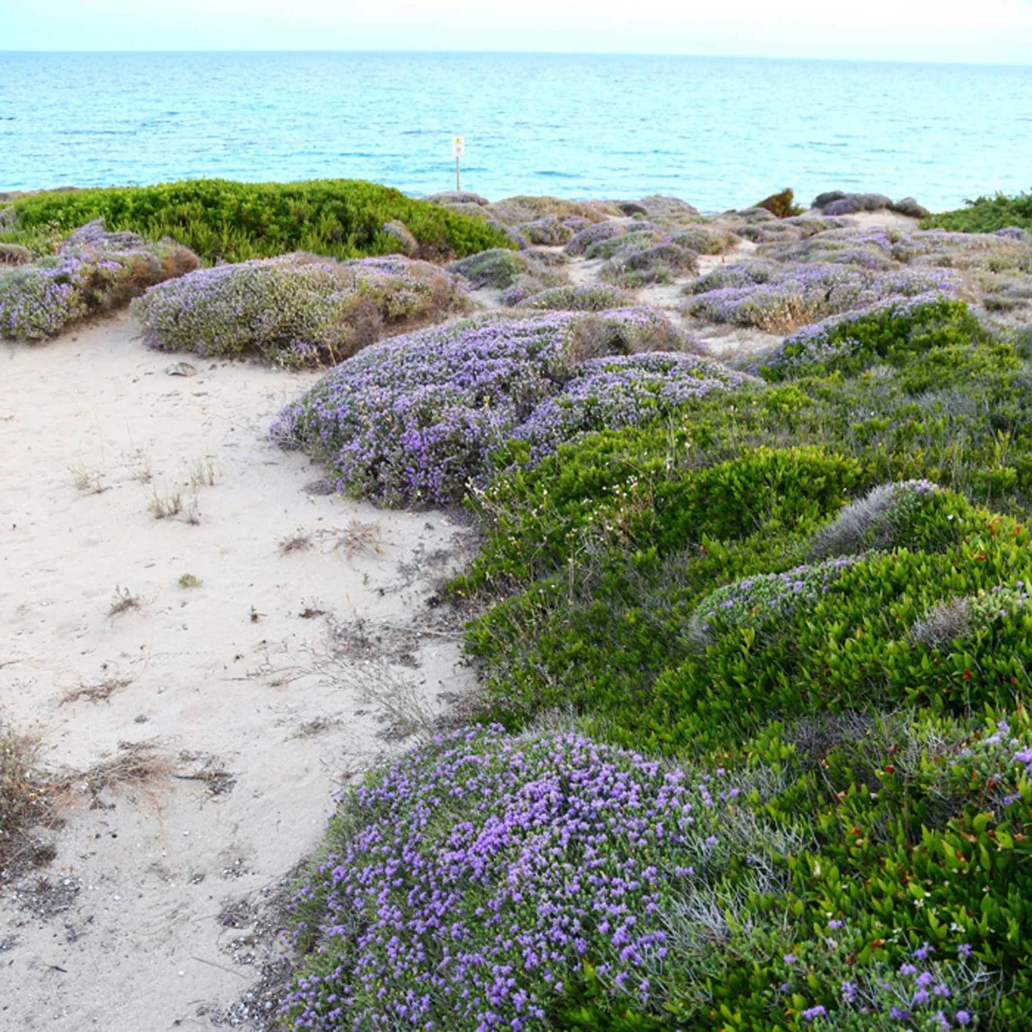 Spring in B&B Le Vele