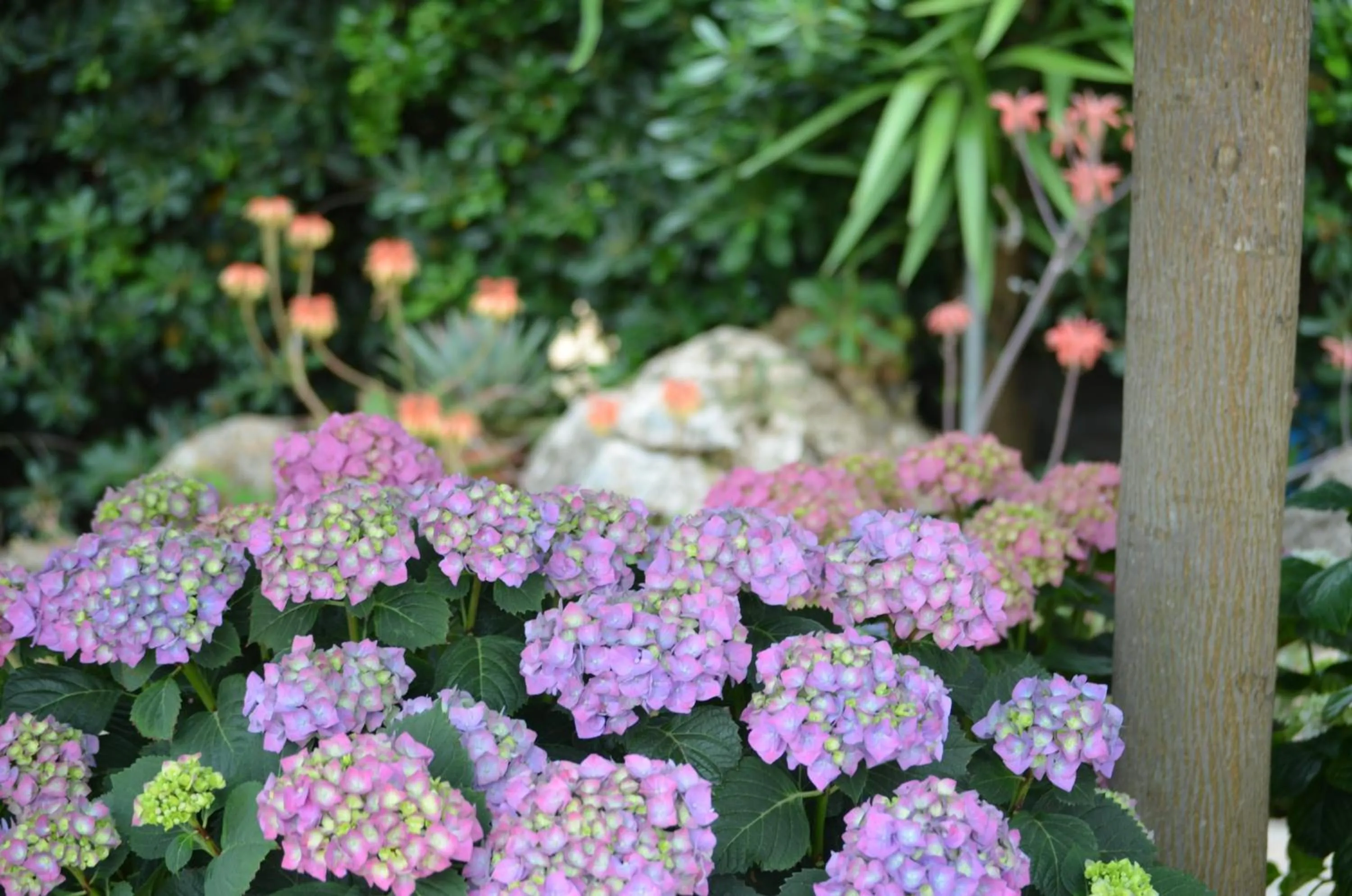 Other in B&B Le Vele