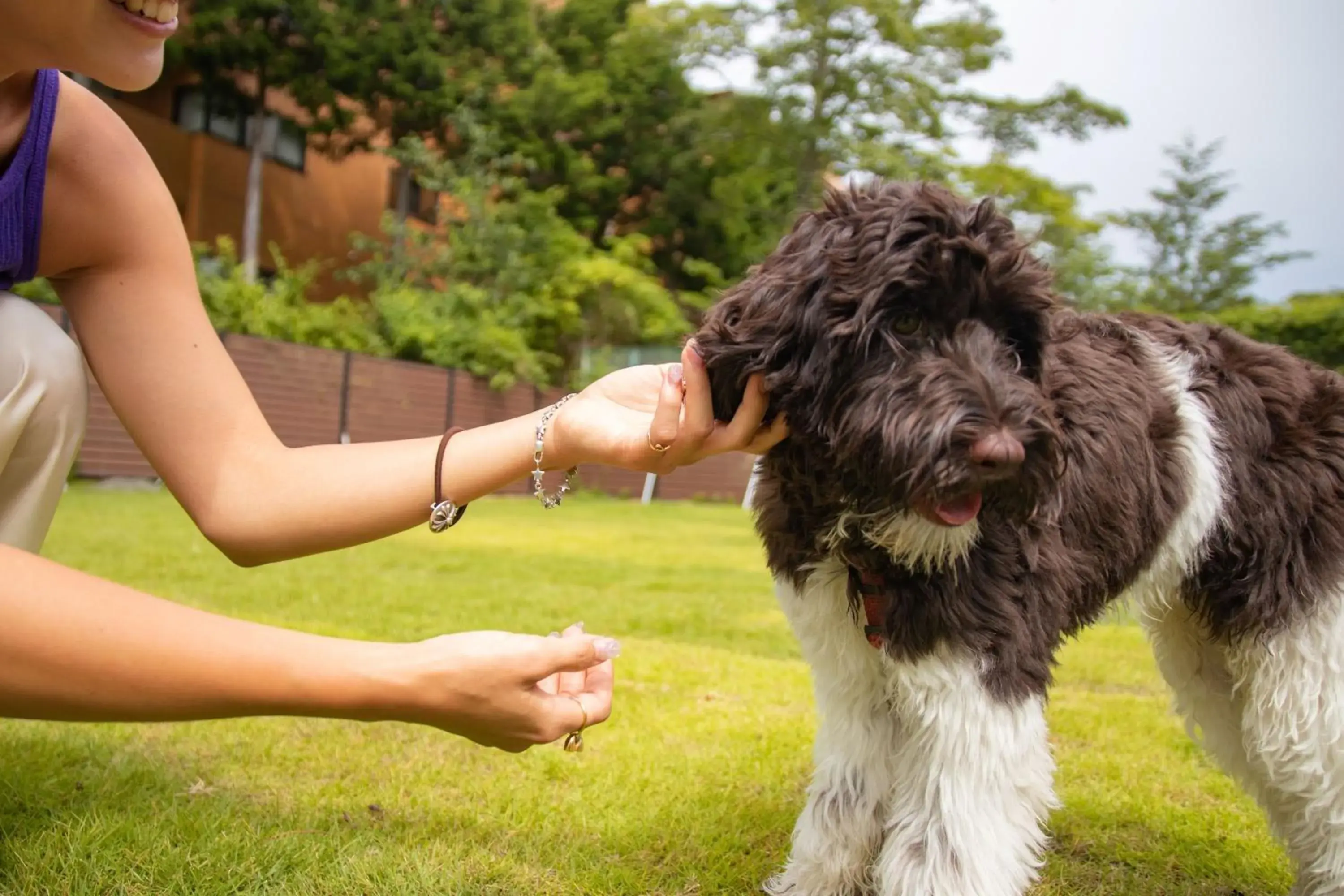 Mobile Home in Gramercy Village 山中湖 Glamping &Sauna Mobile Home in Gramercy Village 山中湖 Glamping &Sauna